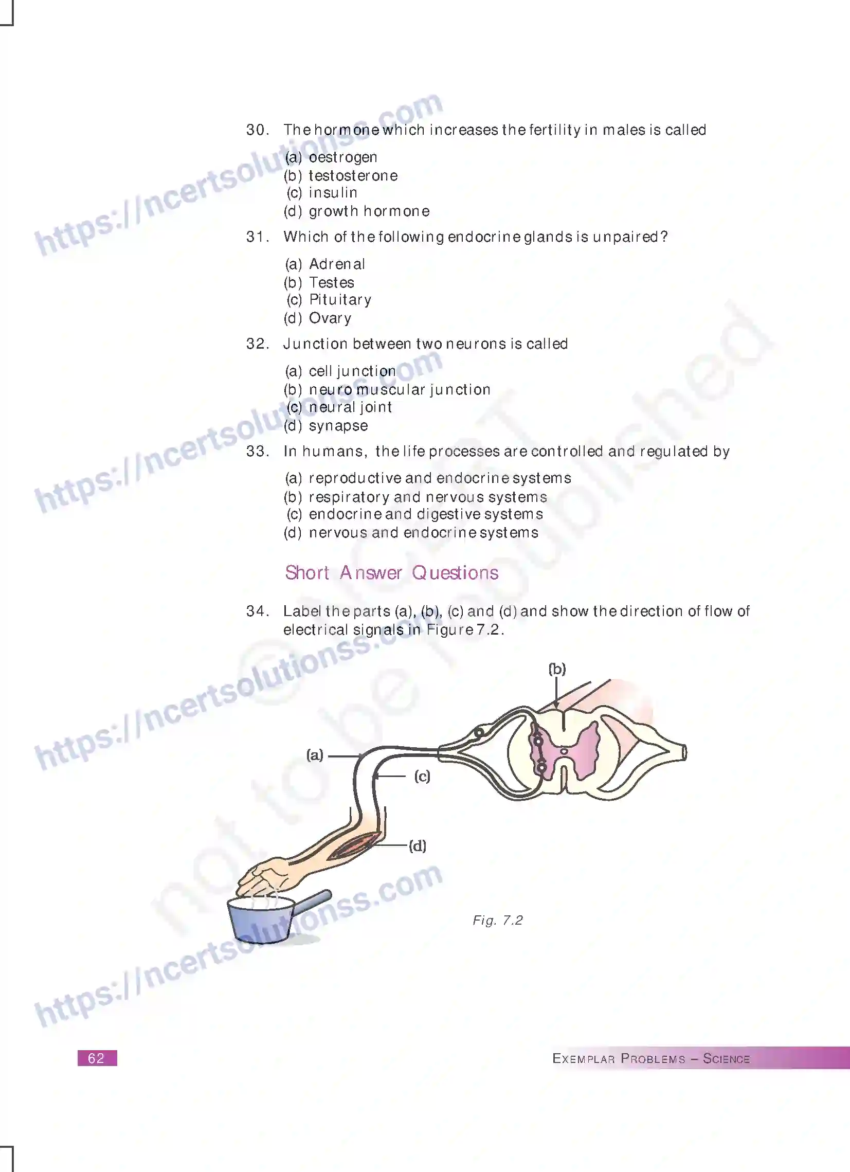 NCERT-Exemplar-Questions-Class-10-Science--Control-and-Coordination-168-page-6