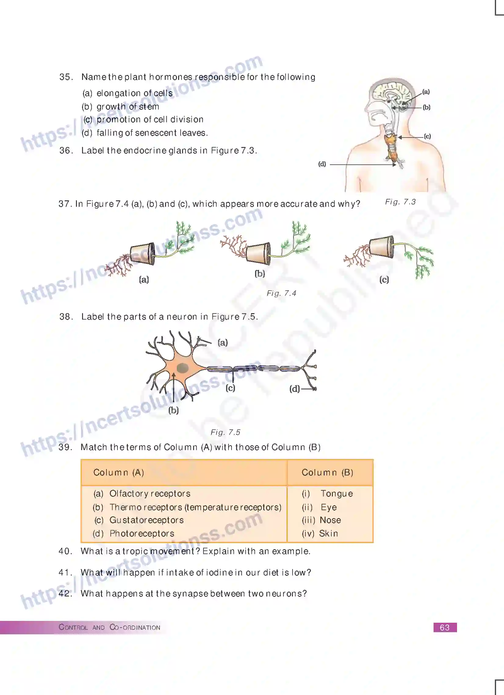 NCERT-Exemplar-Questions-Class-10-Science--Control-and-Coordination-168-page-7
