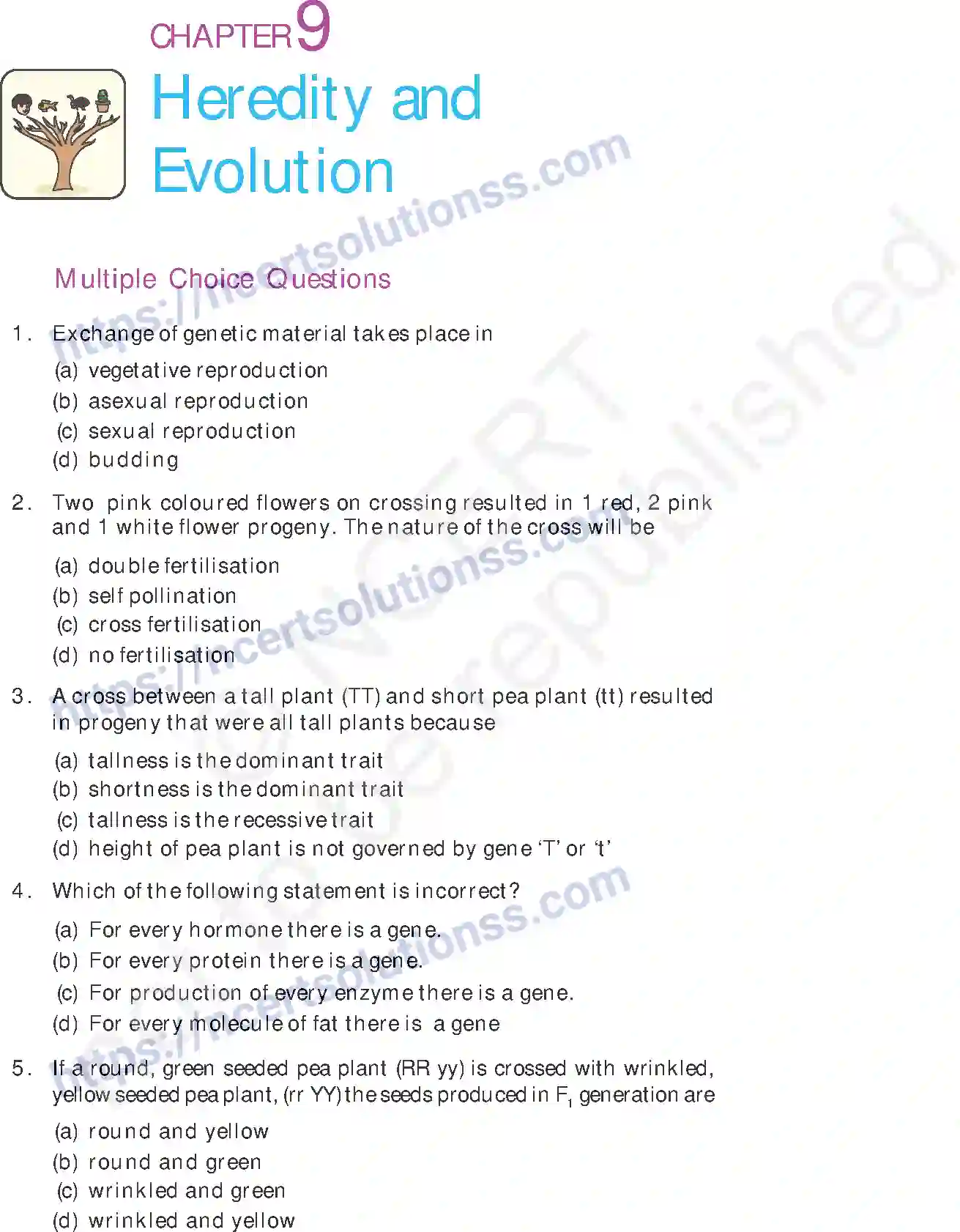 NCERT-Exemplar-Questions-Class-10-Science--Heredity-and-Evolution-170-page-1