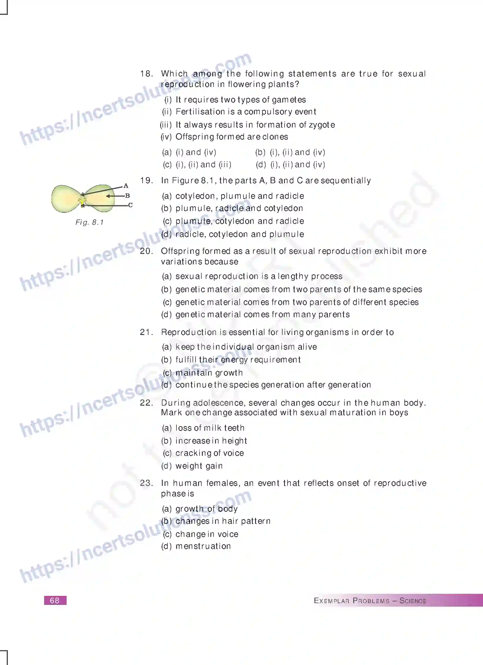 NCERT-Exemplar-Questions-Class-10-Science--How-do-Organisms-Reproduce-169-page-4