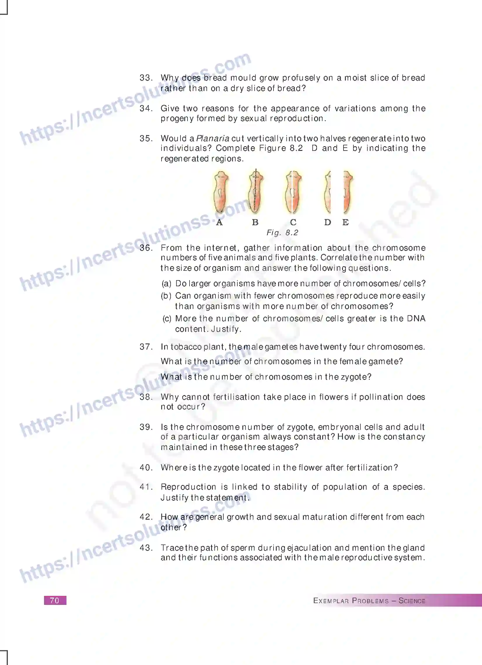 NCERT-Exemplar-Questions-Class-10-Science--How-do-Organisms-Reproduce-169-page-6