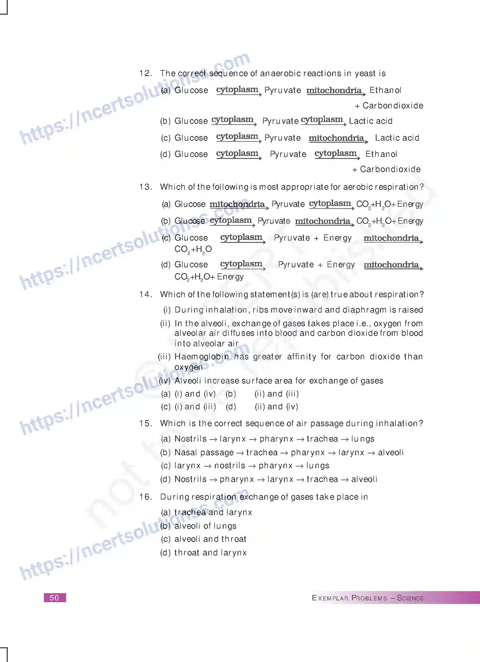 NCERT-Exemplar-Questions-Class-10-Science--Life-Processes-167-page-3