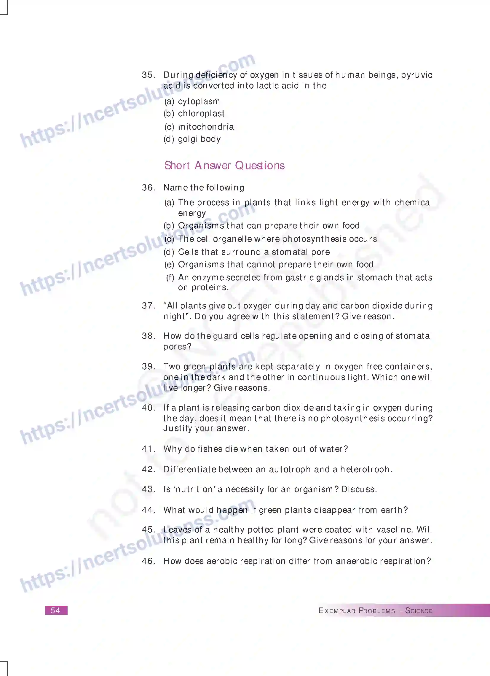 NCERT-Exemplar-Questions-Class-10-Science--Life-Processes-167-page-7