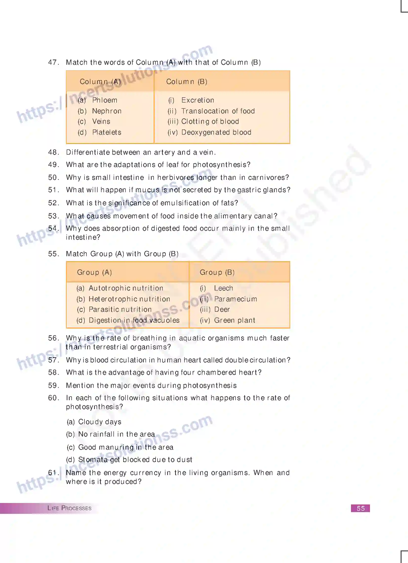 NCERT-Exemplar-Questions-Class-10-Science--Life-Processes-167-page-8