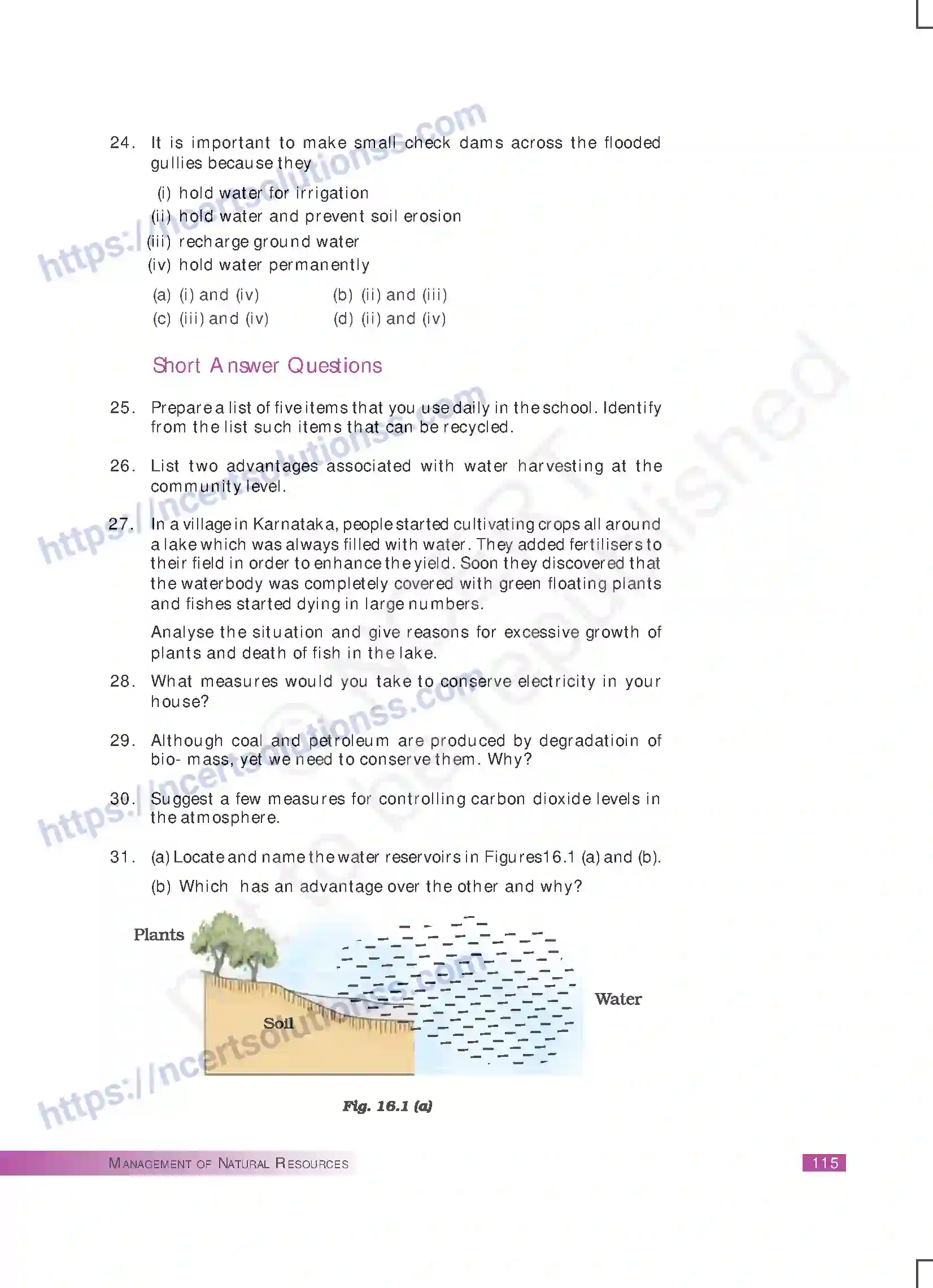 NCERT-Exemplar-Questions-Class-10-Science--Management-of-Natural-Resources-177-page-5