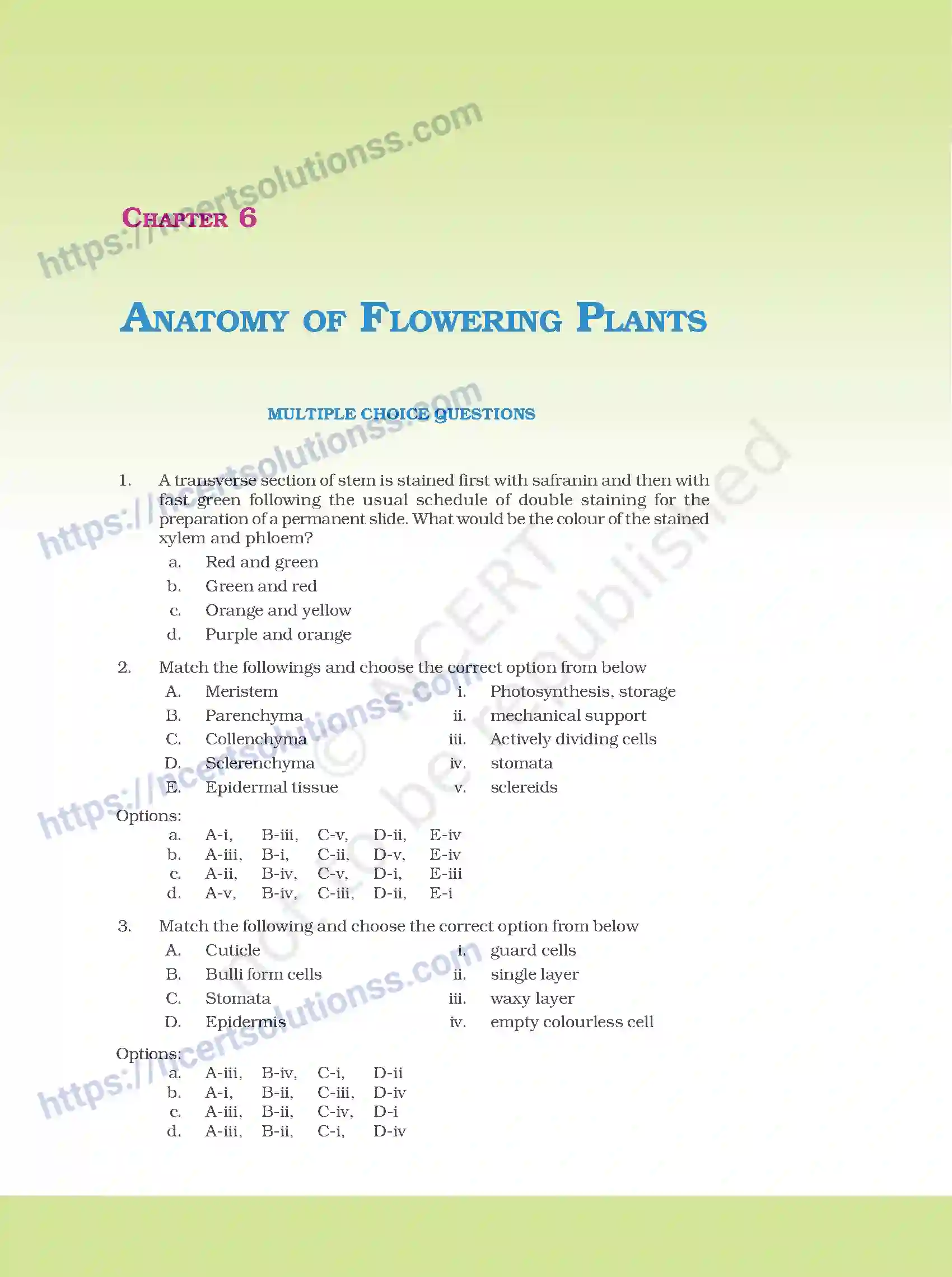 NCERT-Exemplar-Questions-Class-11-Biology--Anatomy-Of-Flowering-Plants-93-page-1