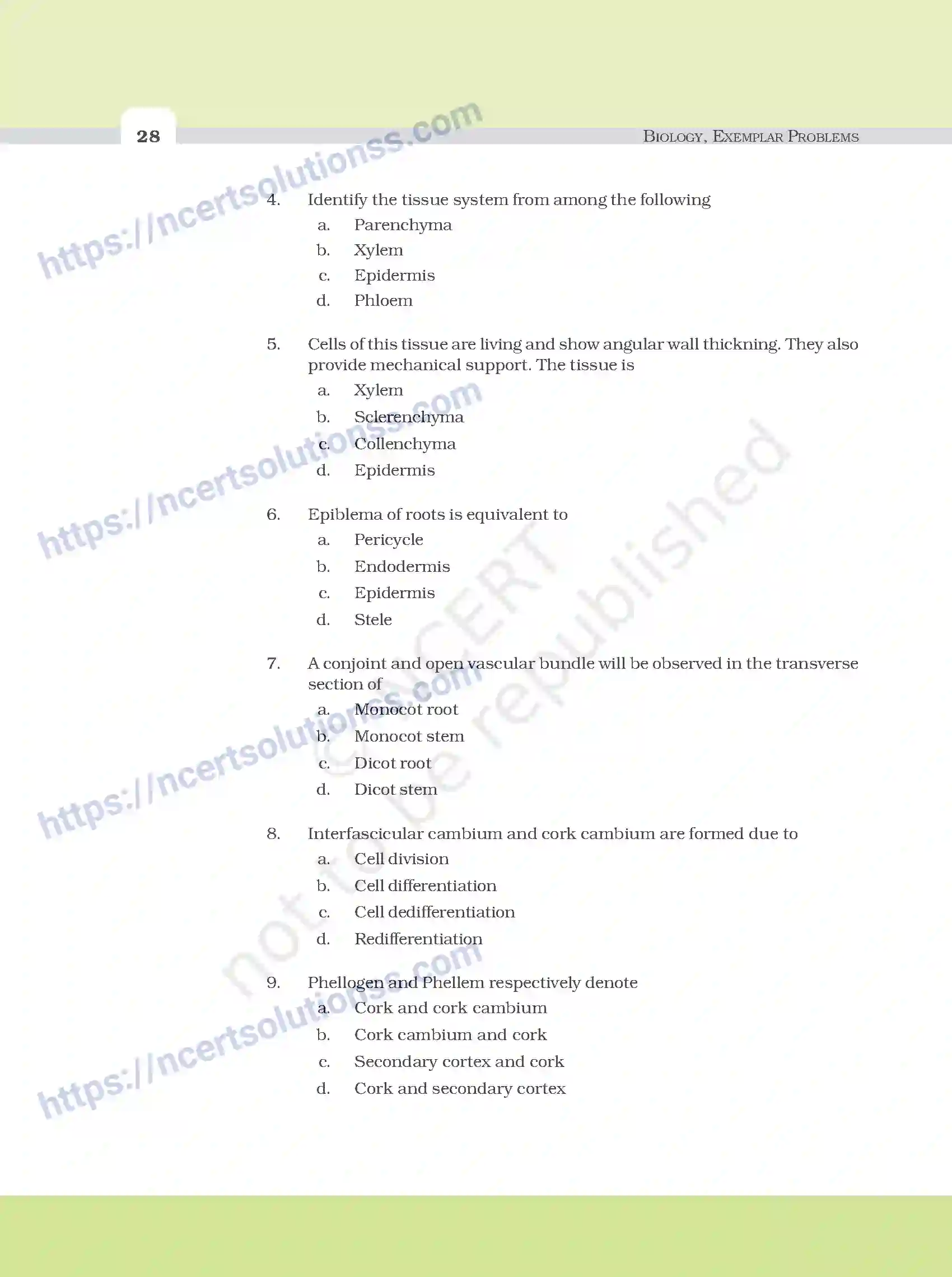 NCERT-Exemplar-Questions-Class-11-Biology--Anatomy-Of-Flowering-Plants-93-page-2
