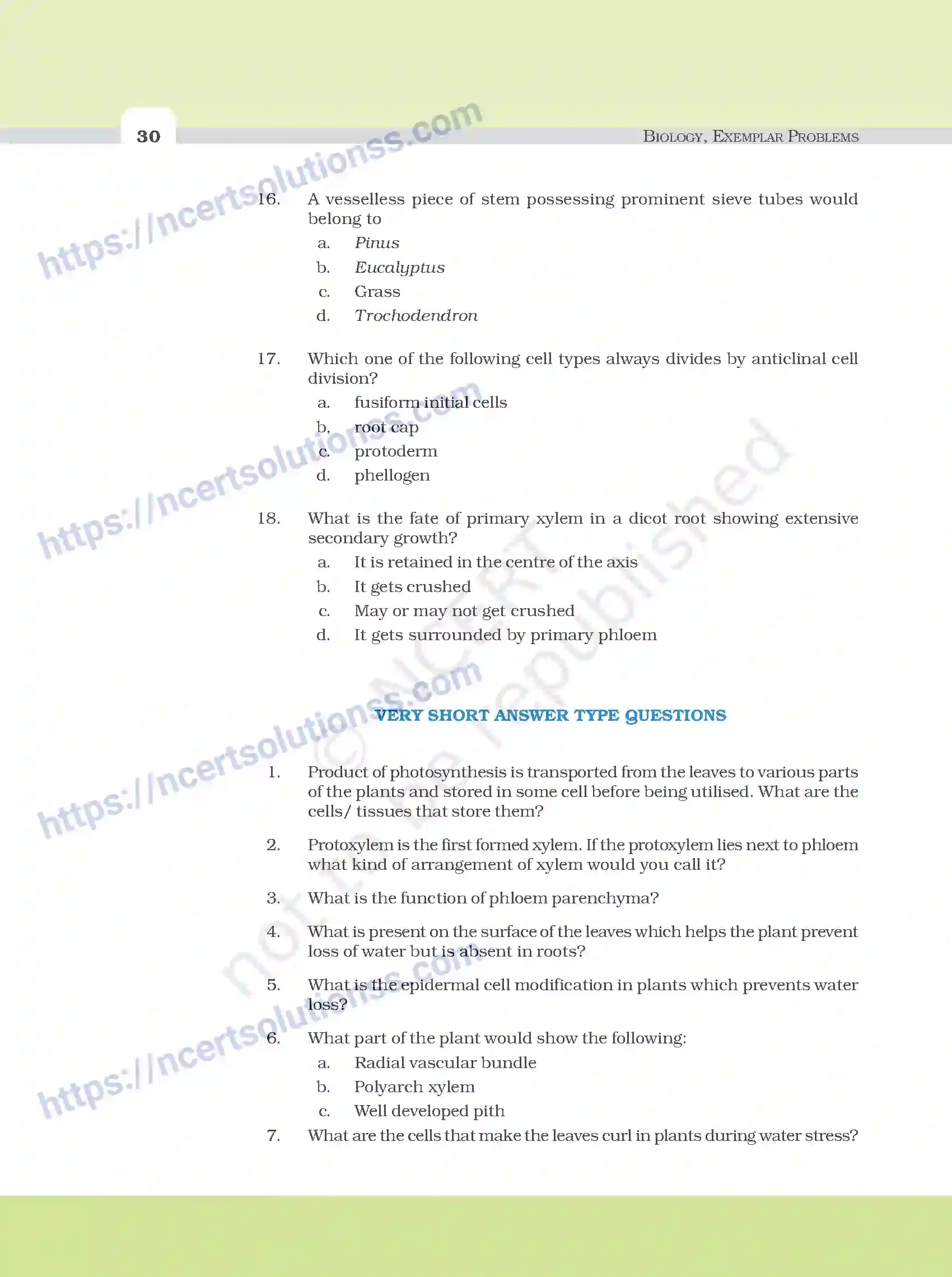 NCERT-Exemplar-Questions-Class-11-Biology--Anatomy-Of-Flowering-Plants-93-page-4