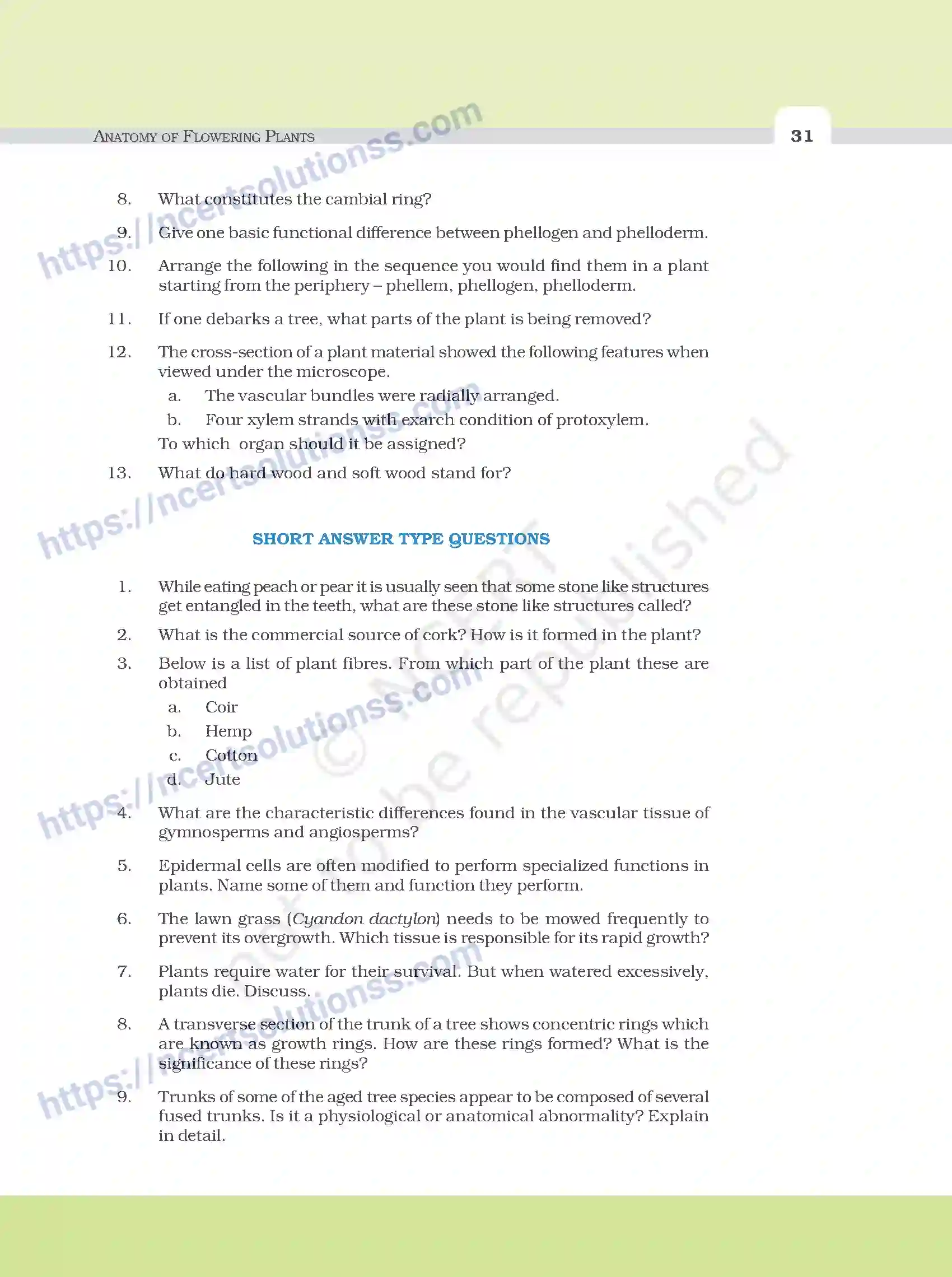 NCERT-Exemplar-Questions-Class-11-Biology--Anatomy-Of-Flowering-Plants-93-page-5