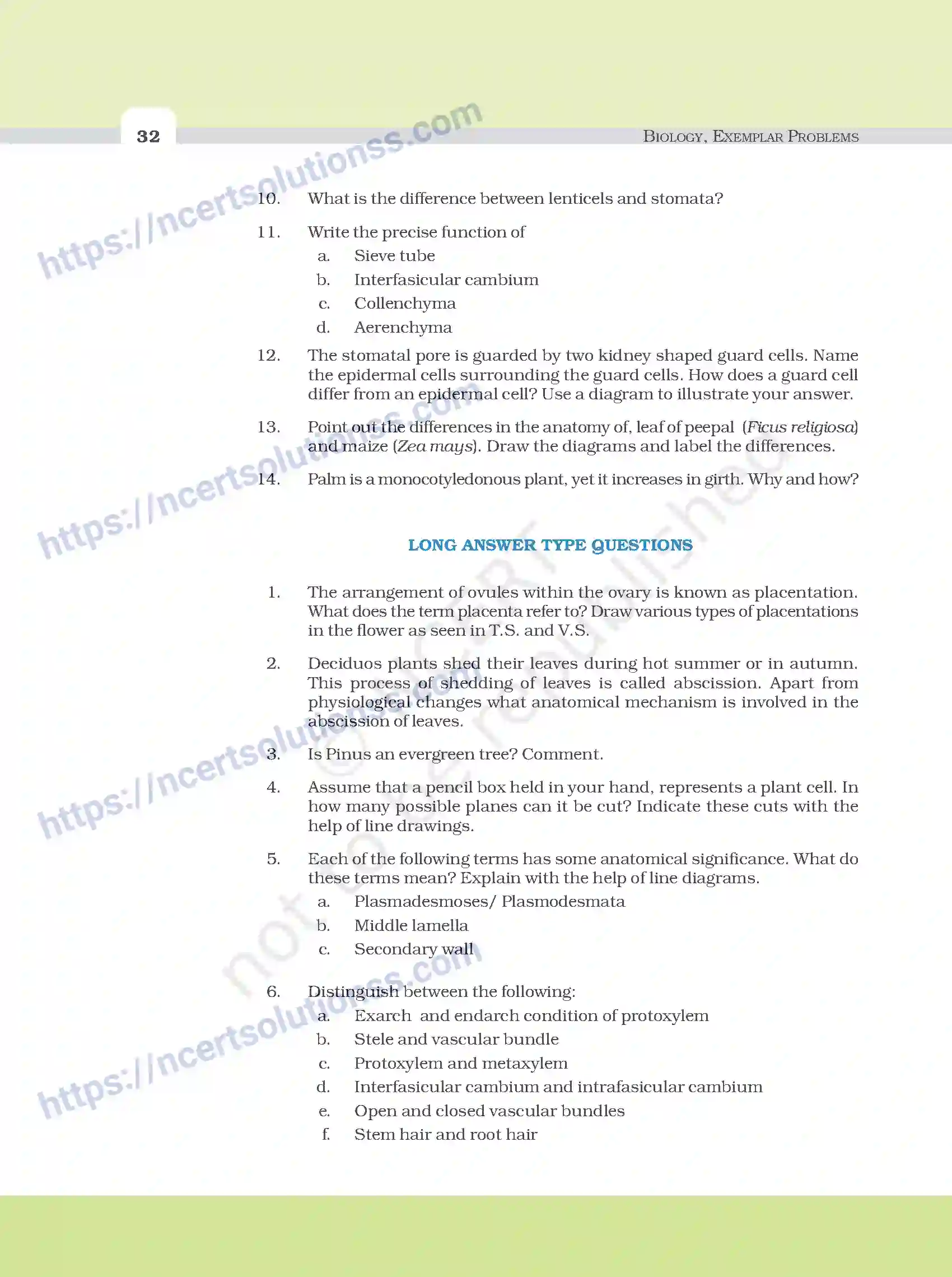 NCERT-Exemplar-Questions-Class-11-Biology--Anatomy-Of-Flowering-Plants-93-page-6