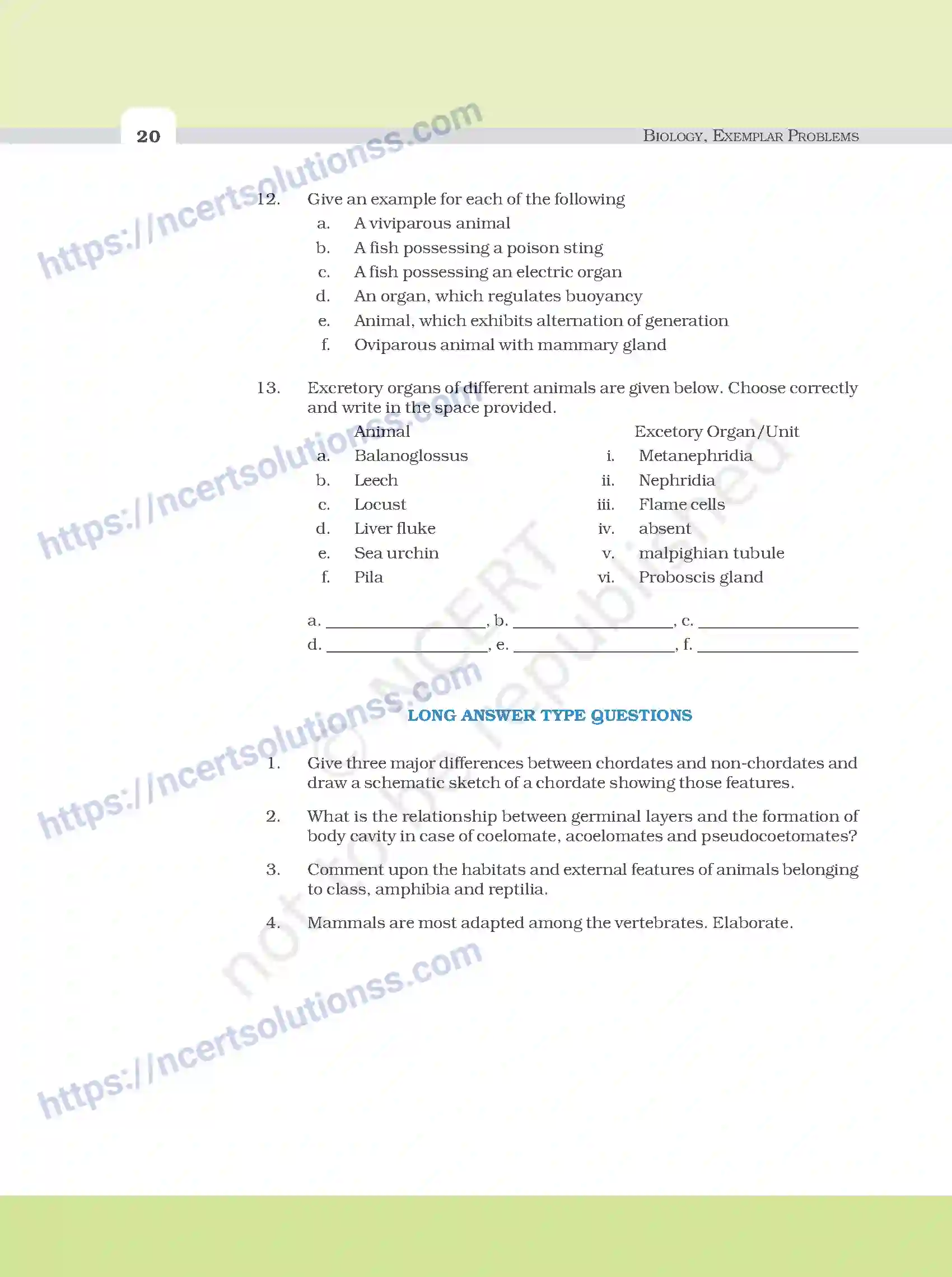 NCERT-Exemplar-Questions-Class-11-Biology--Animal-Kingdom-91-page-7