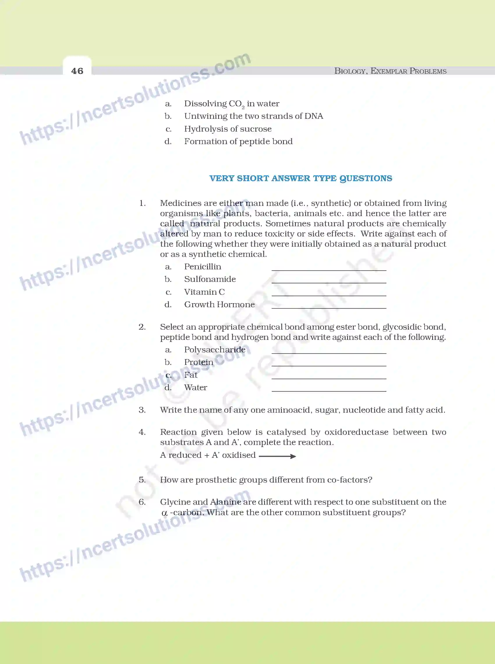 NCERT-Exemplar-Questions-Class-11-Biology--Biomolecules-96-page-4