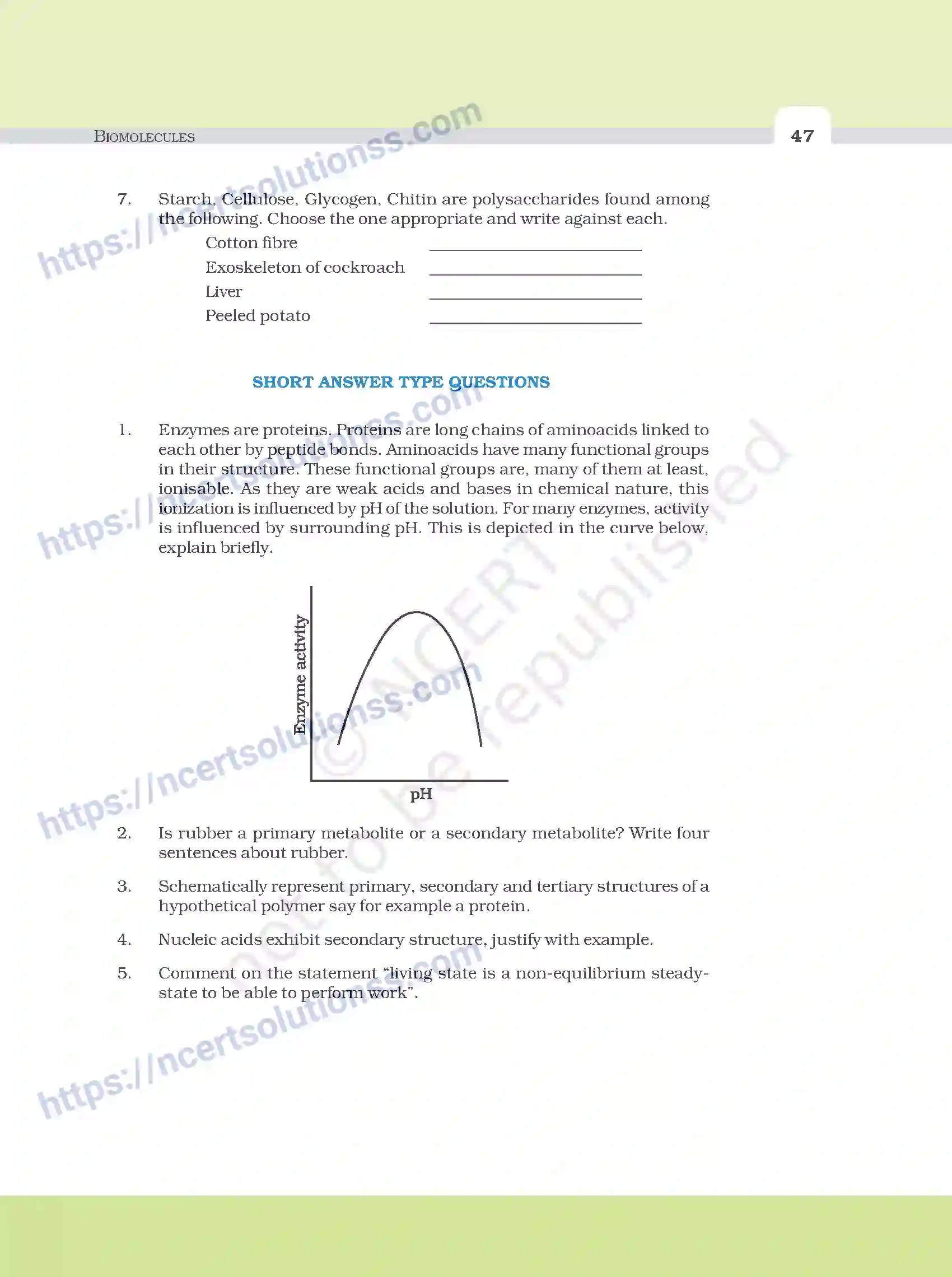 NCERT-Exemplar-Questions-Class-11-Biology--Biomolecules-96-page-5