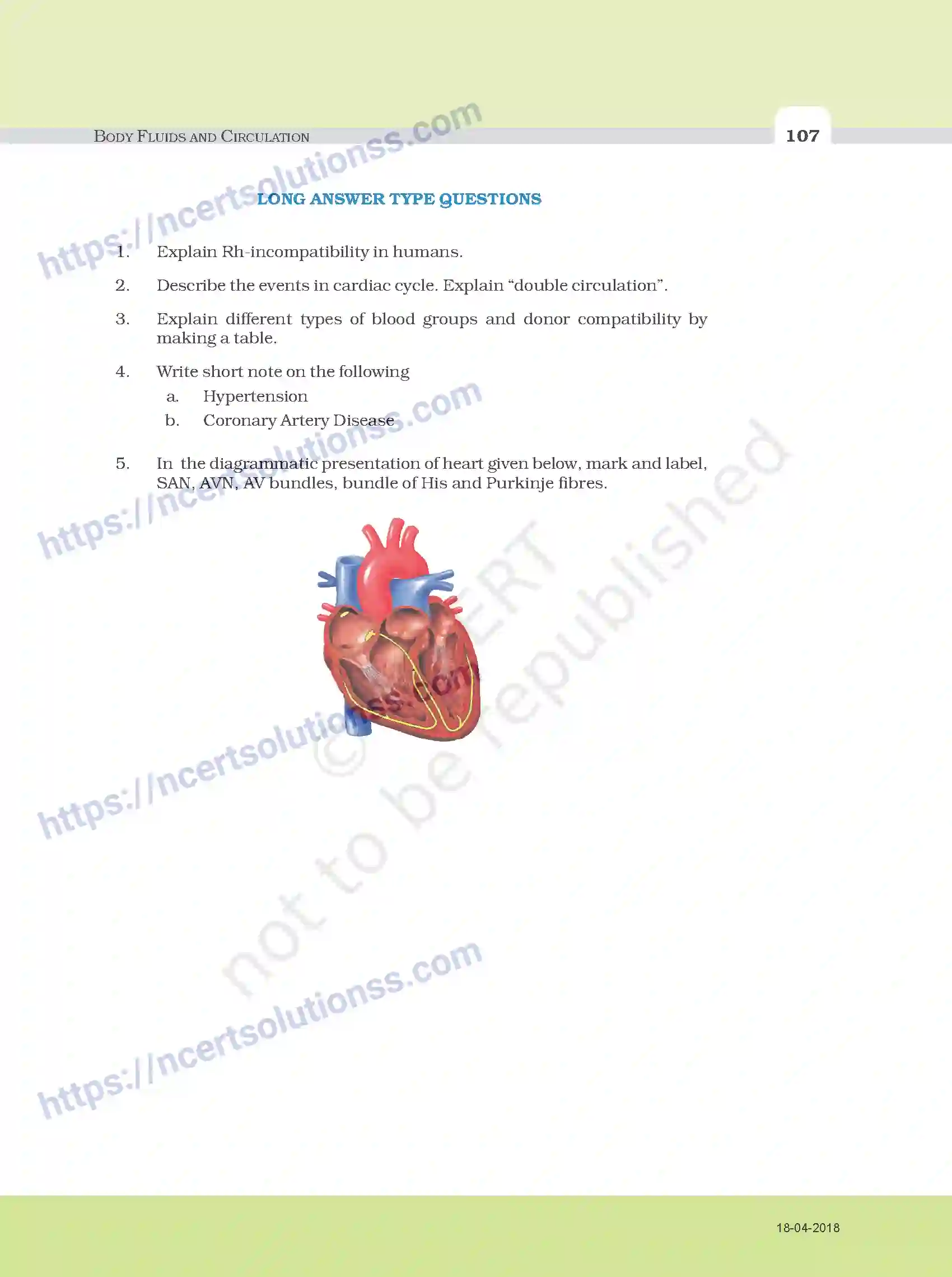 NCERT-Exemplar-Questions-Class-11-Biology--Body-Fluids-and-Circulation-105-page-7