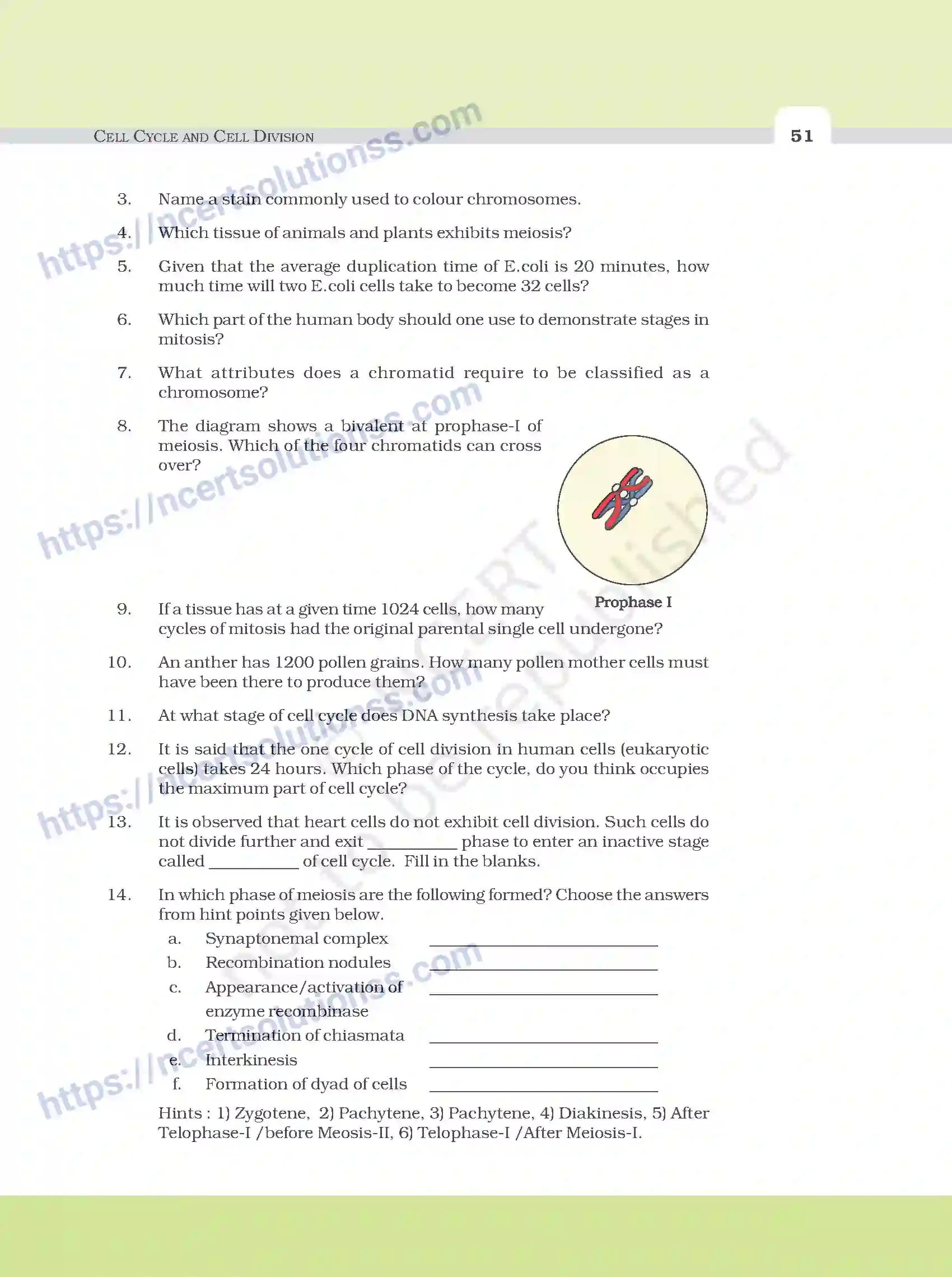 NCERT-Exemplar-Questions-Class-11-Biology--Cell-Cycle-And-Cell-Division-97-page-3