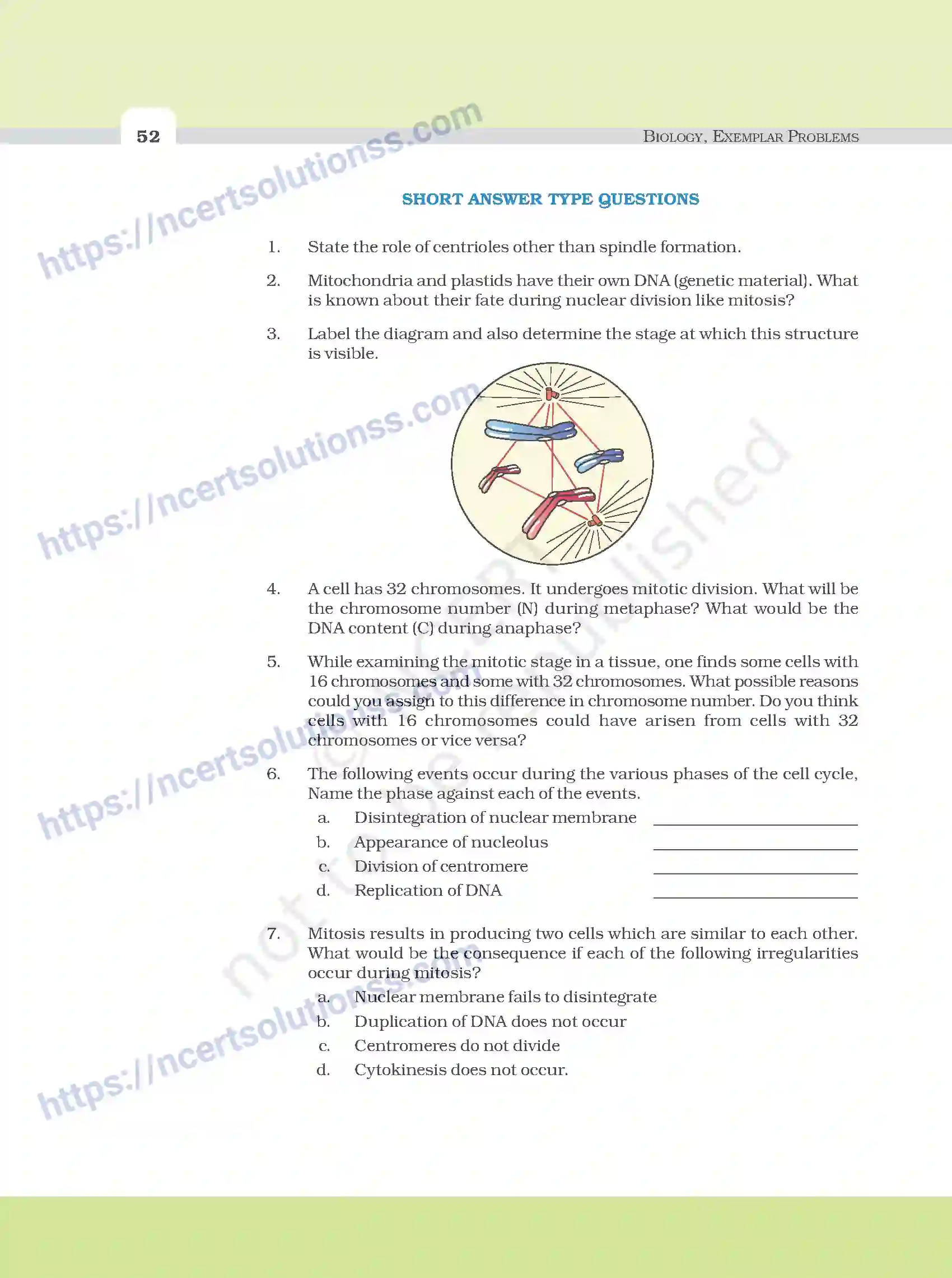 NCERT-Exemplar-Questions-Class-11-Biology--Cell-Cycle-And-Cell-Division-97-page-4