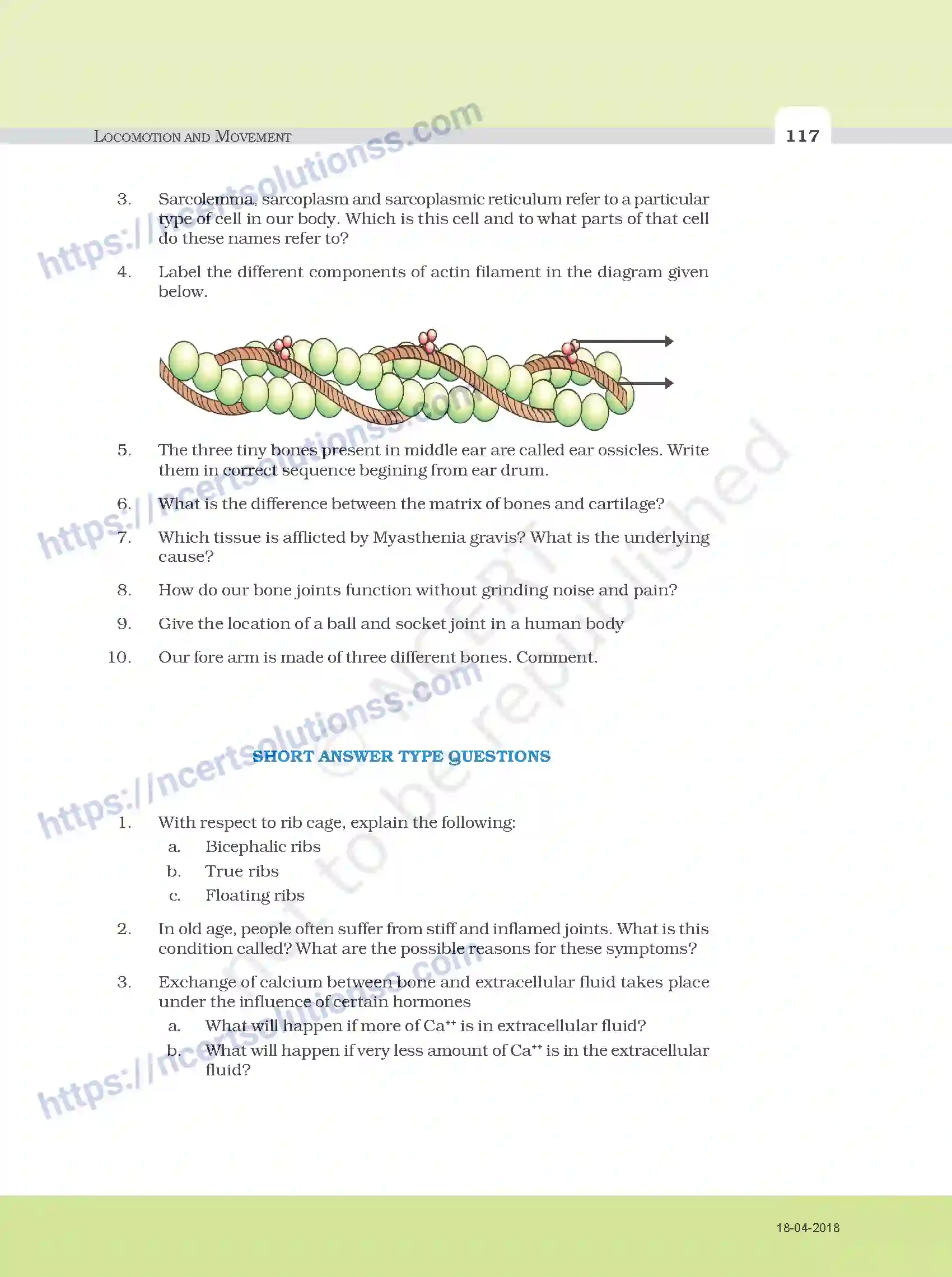 NCERT-Exemplar-Questions-Class-11-Biology--Locomotion-and-Movement-107-page-4