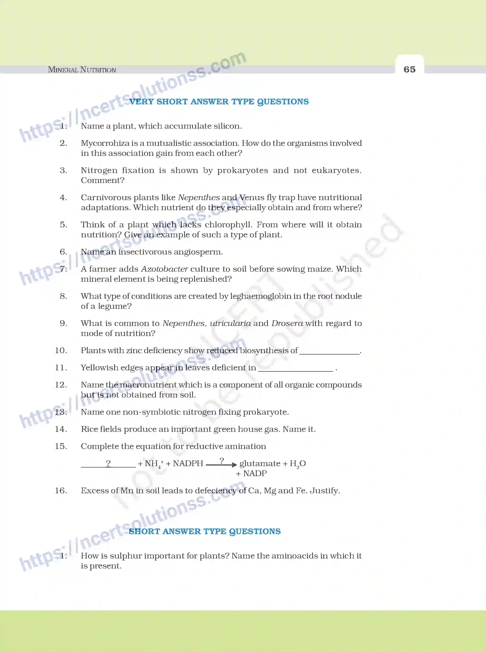 NCERT-Exemplar-Questions-Class-11-Biology--Mineral-Nutrition-99-page-3
