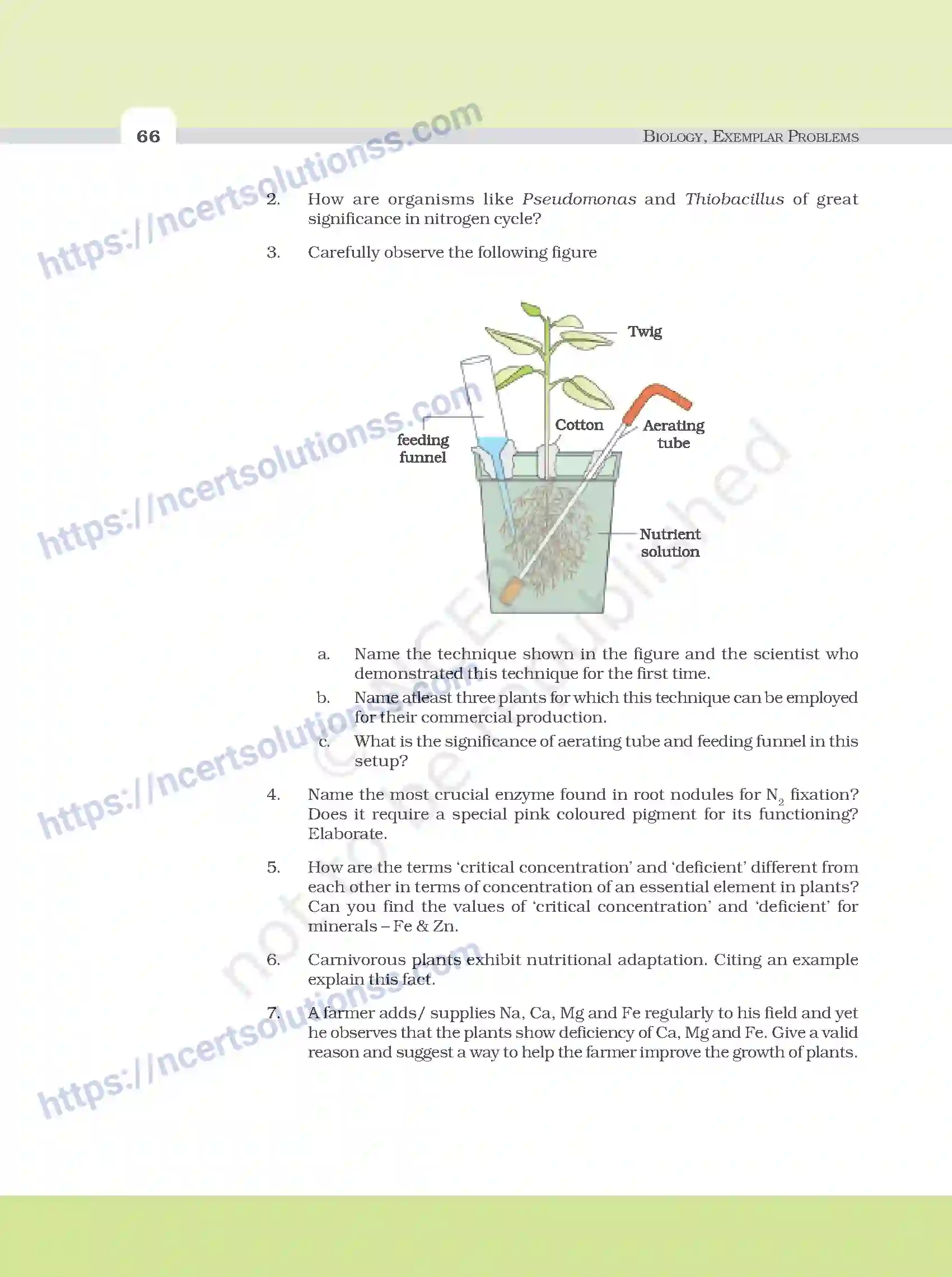 NCERT-Exemplar-Questions-Class-11-Biology--Mineral-Nutrition-99-page-4