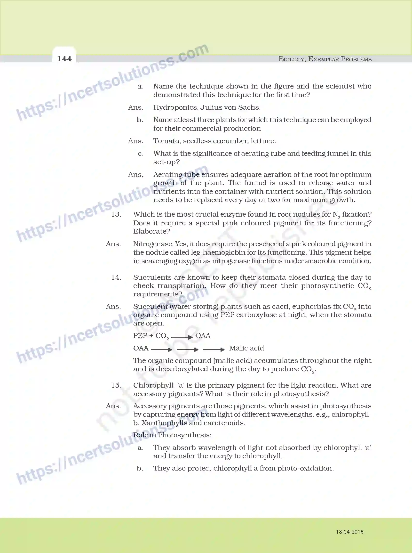 NCERT-Exemplar-Questions-Class-11-Biology--Model-Answers-to-Descriptive-Questions-111-page-12