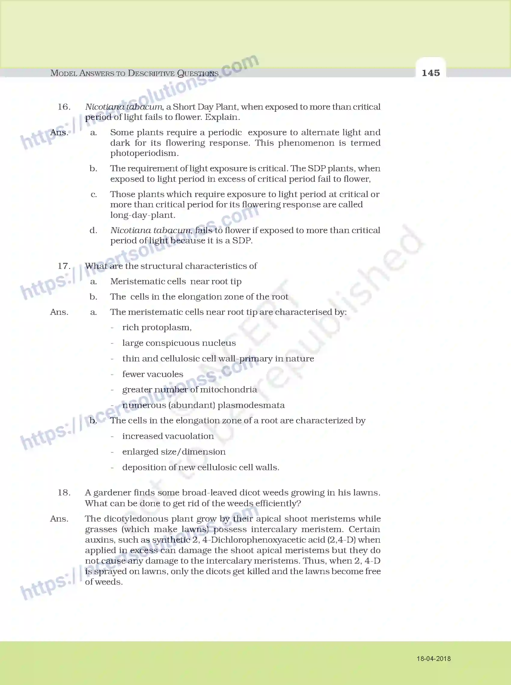 NCERT-Exemplar-Questions-Class-11-Biology--Model-Answers-to-Descriptive-Questions-111-page-13