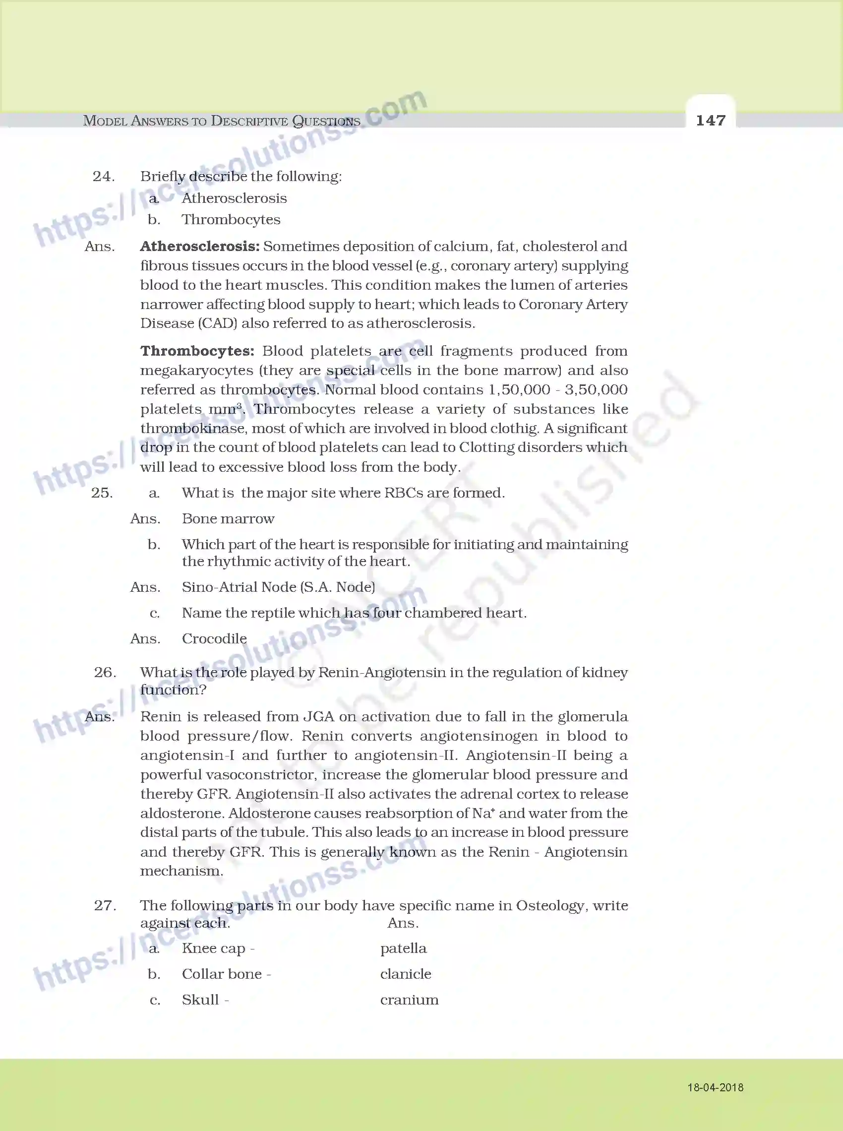 NCERT-Exemplar-Questions-Class-11-Biology--Model-Answers-to-Descriptive-Questions-111-page-15
