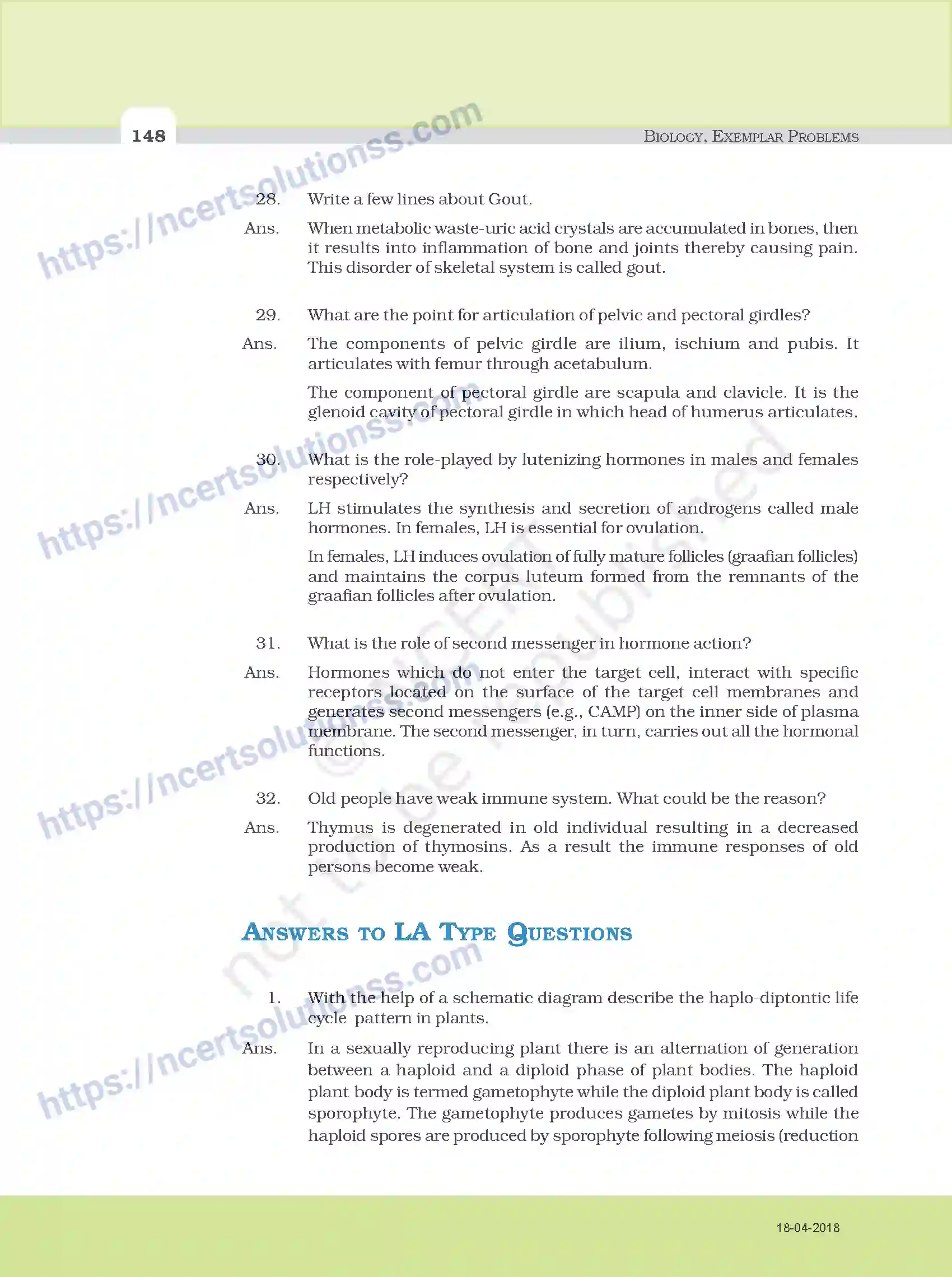 NCERT-Exemplar-Questions-Class-11-Biology--Model-Answers-to-Descriptive-Questions-111-page-16