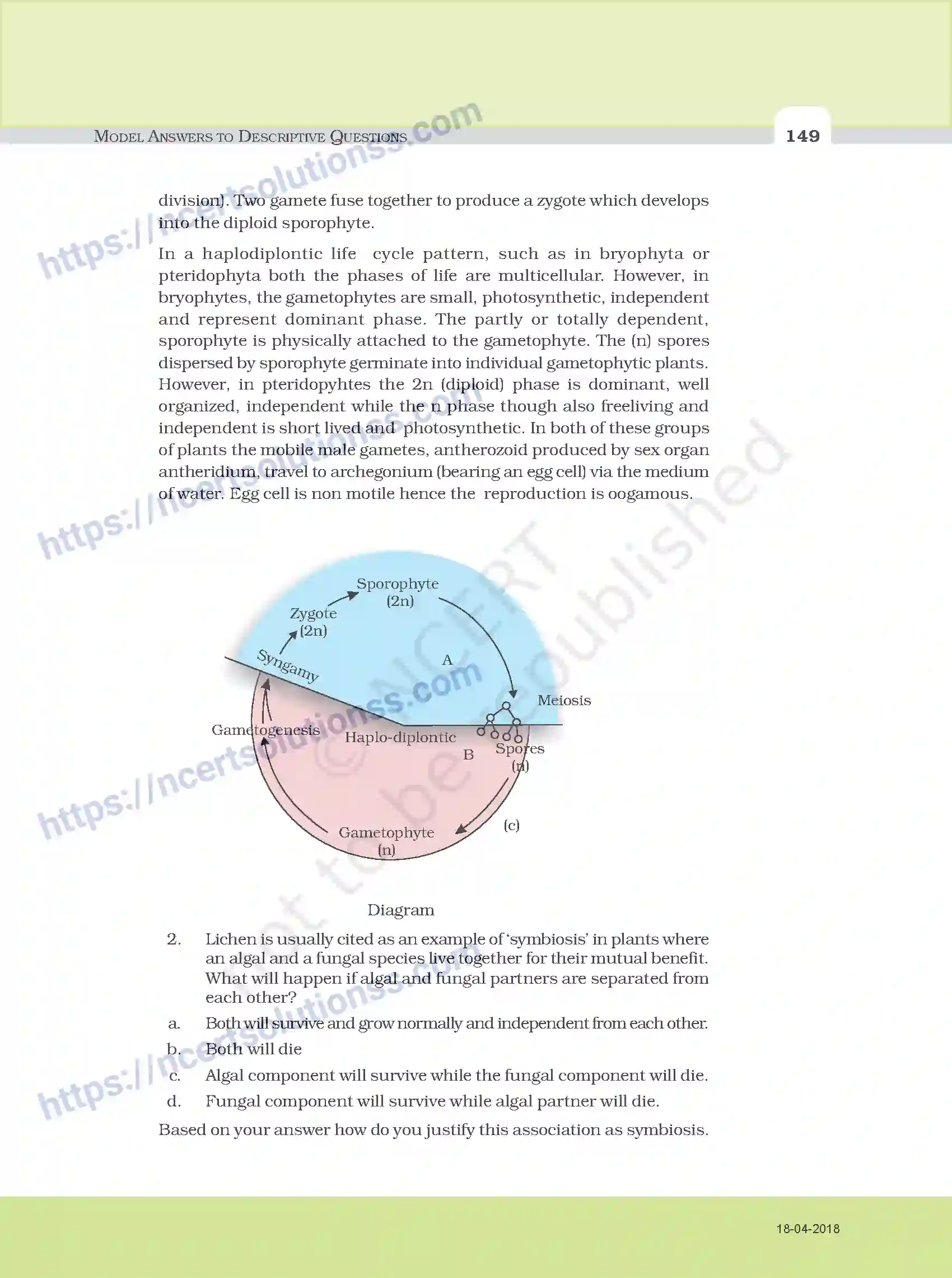 NCERT-Exemplar-Questions-Class-11-Biology--Model-Answers-to-Descriptive-Questions-111-page-17