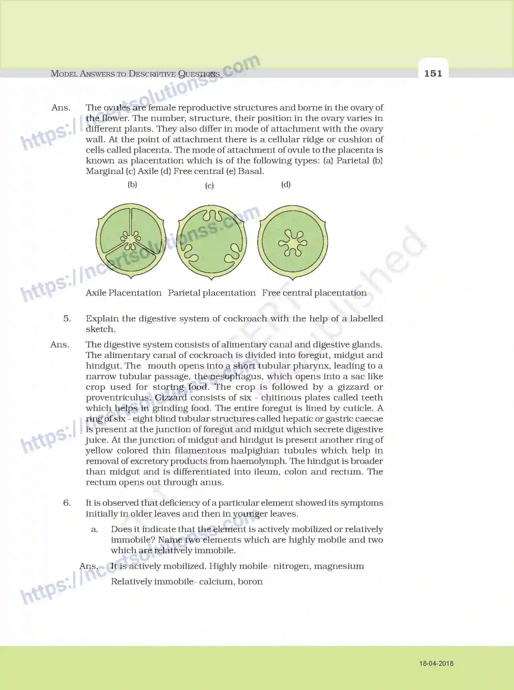 NCERT-Exemplar-Questions-Class-11-Biology--Model-Answers-to-Descriptive-Questions-111-page-19