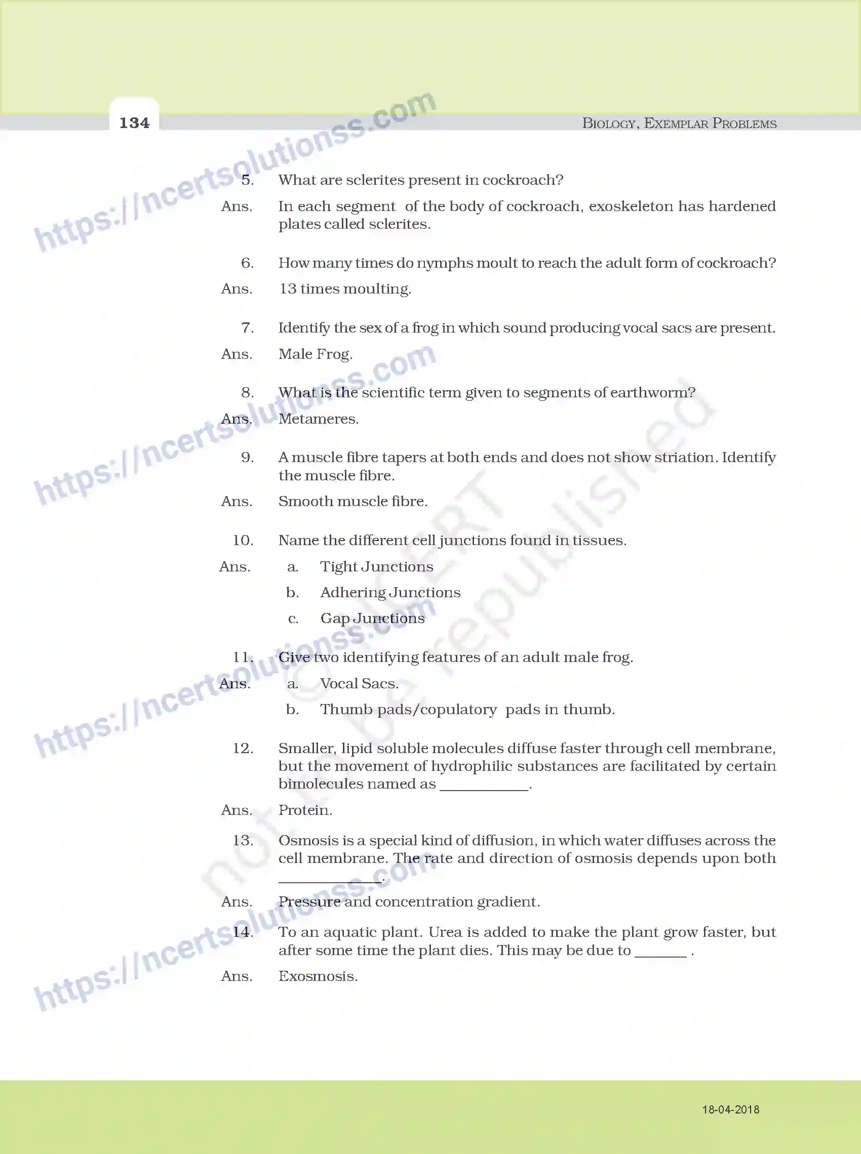 NCERT-Exemplar-Questions-Class-11-Biology--Model-Answers-to-Descriptive-Questions-111-page-2