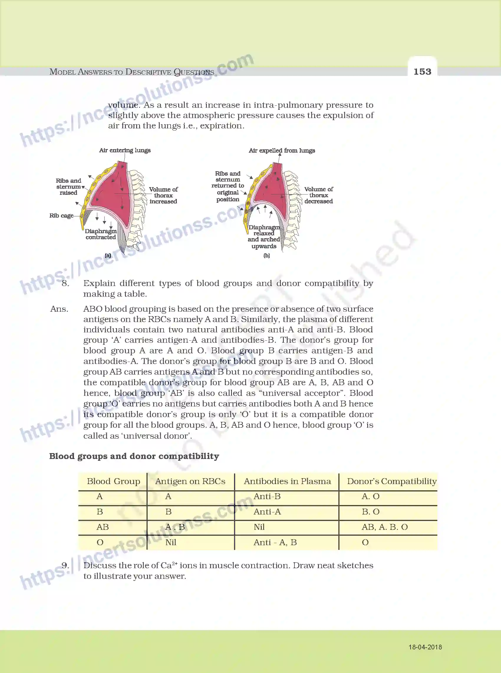 NCERT-Exemplar-Questions-Class-11-Biology--Model-Answers-to-Descriptive-Questions-111-page-21