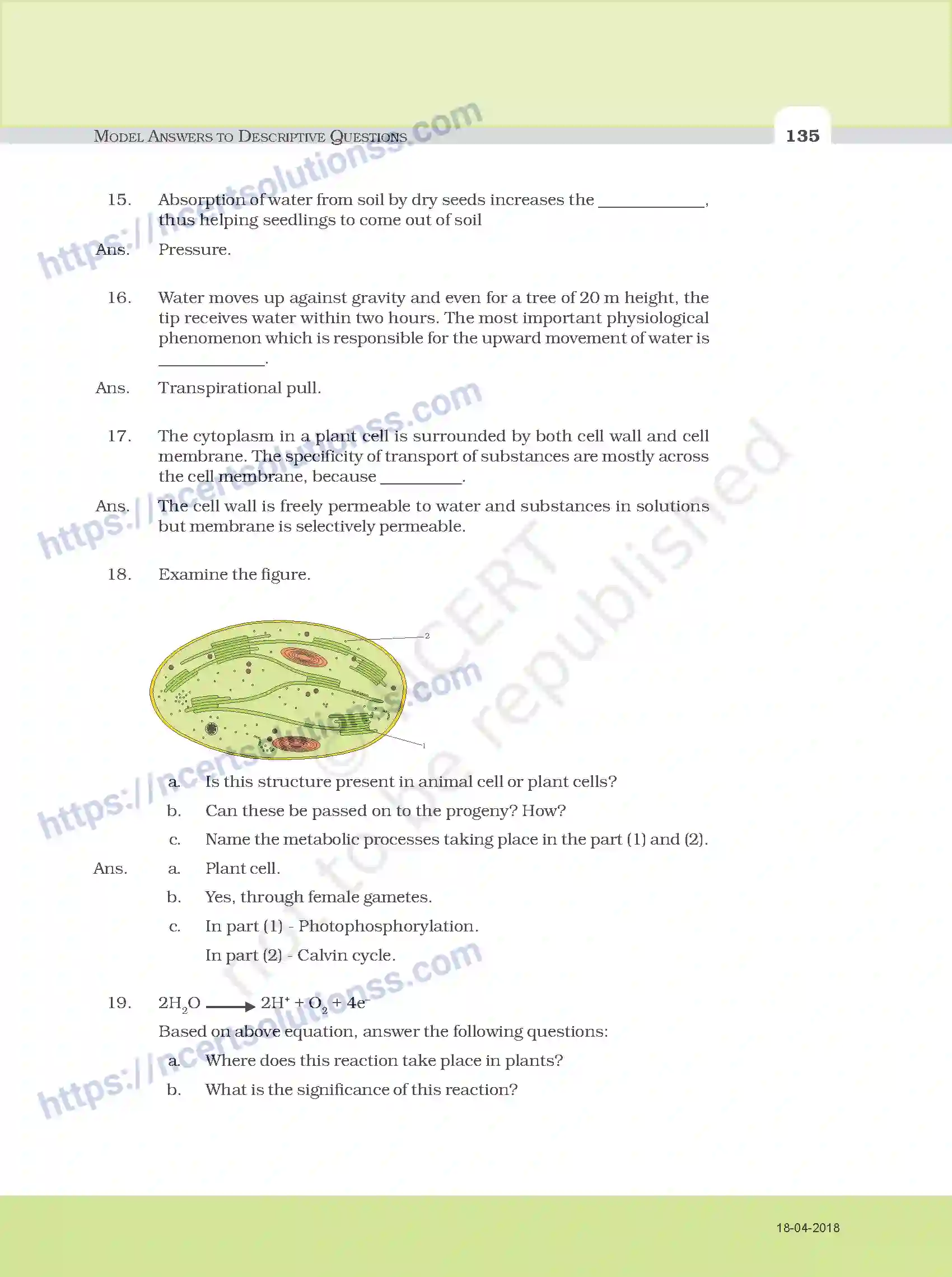 NCERT-Exemplar-Questions-Class-11-Biology--Model-Answers-to-Descriptive-Questions-111-page-3
