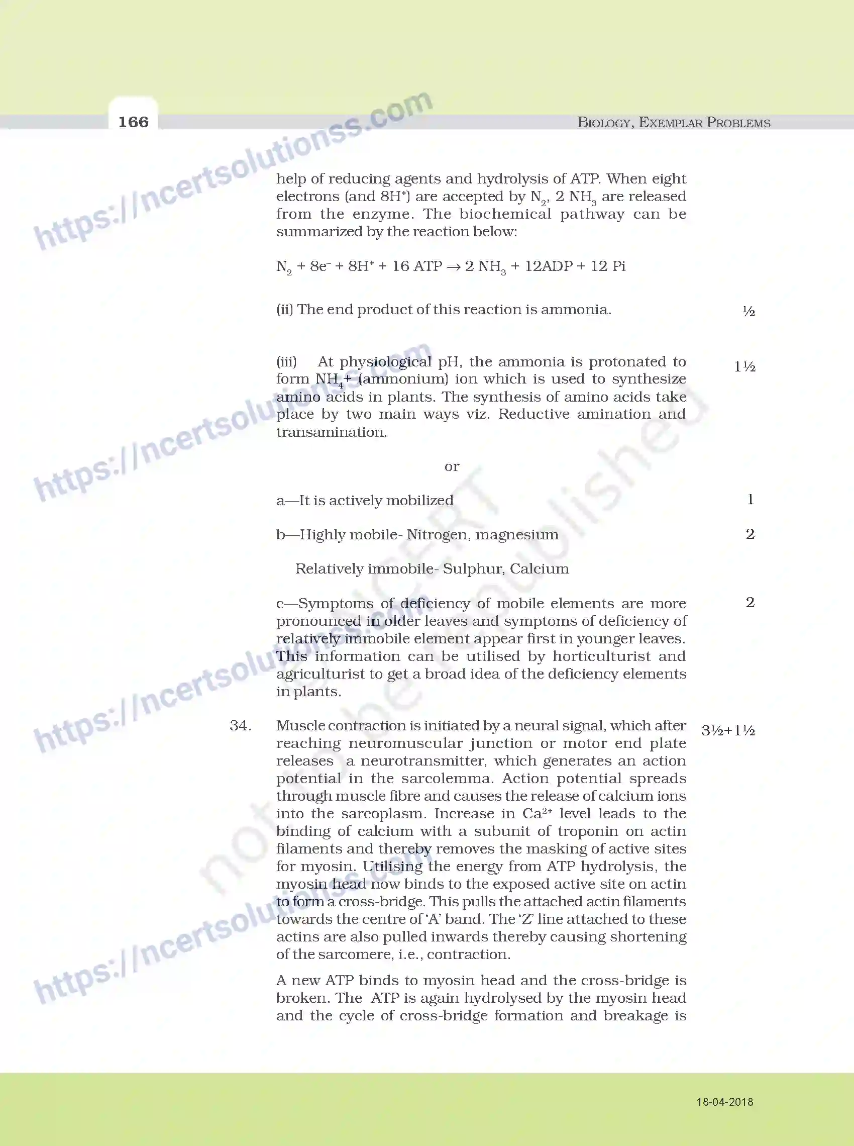 NCERT-Exemplar-Questions-Class-11-Biology--Model-Question-Paper-112-page-11