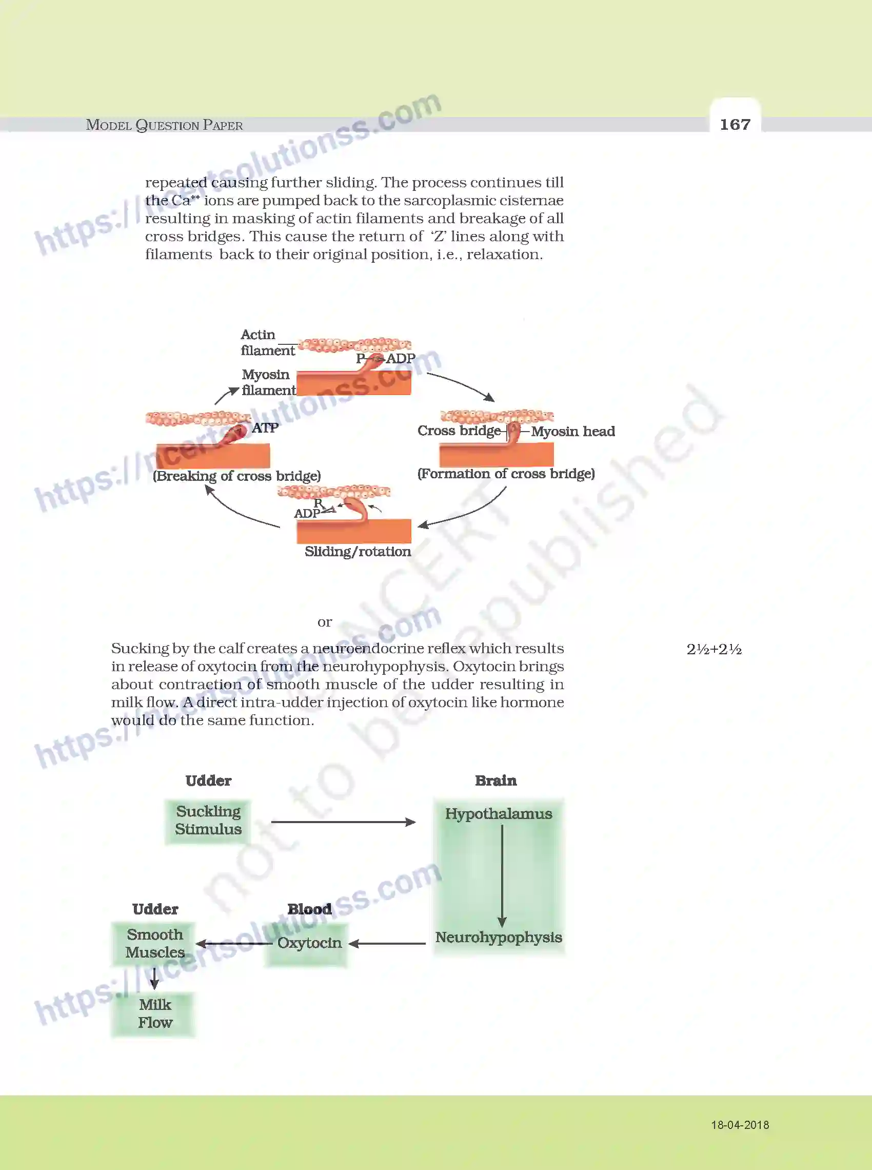 NCERT-Exemplar-Questions-Class-11-Biology--Model-Question-Paper-112-page-12