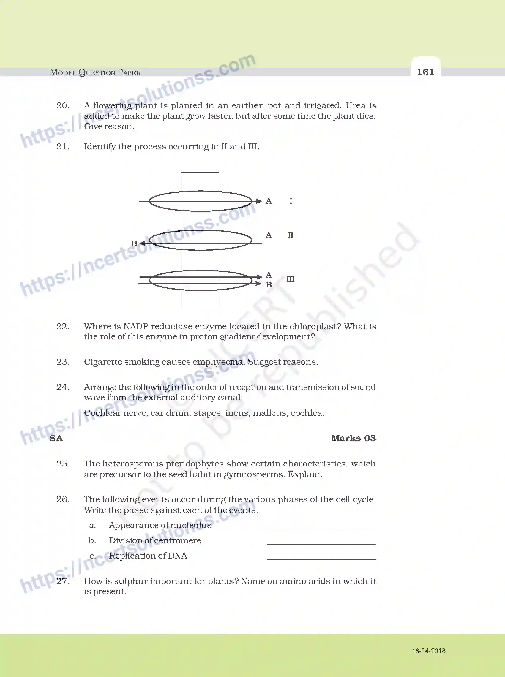 NCERT-Exemplar-Questions-Class-11-Biology--Model-Question-Paper-112-page-6