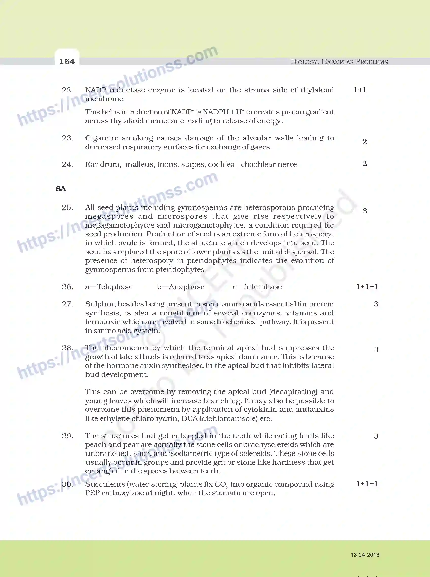 NCERT-Exemplar-Questions-Class-11-Biology--Model-Question-Paper-112-page-9