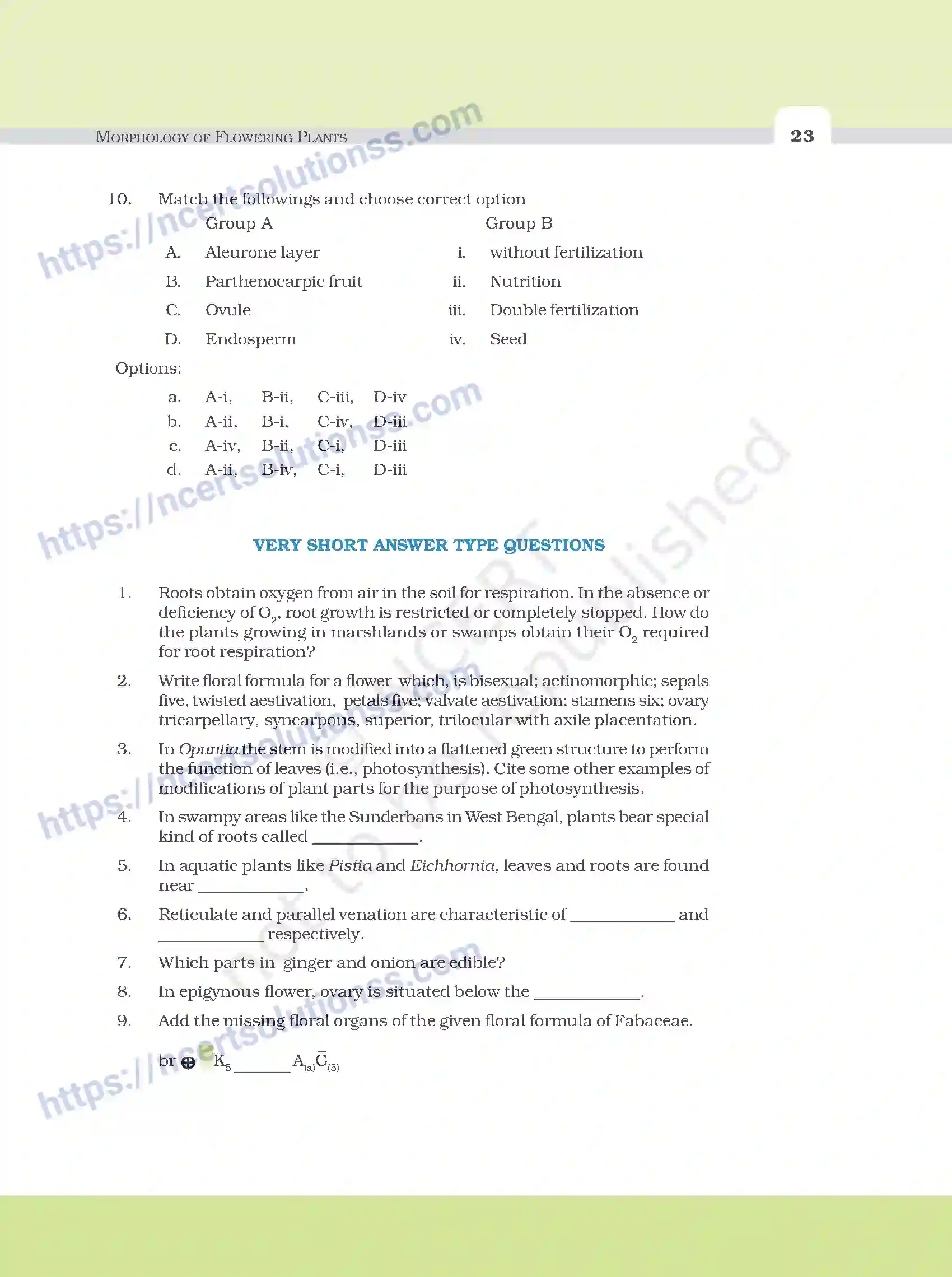NCERT-Exemplar-Questions-Class-11-Biology--Morphology-Of-Flowering-Plants-92-page-3