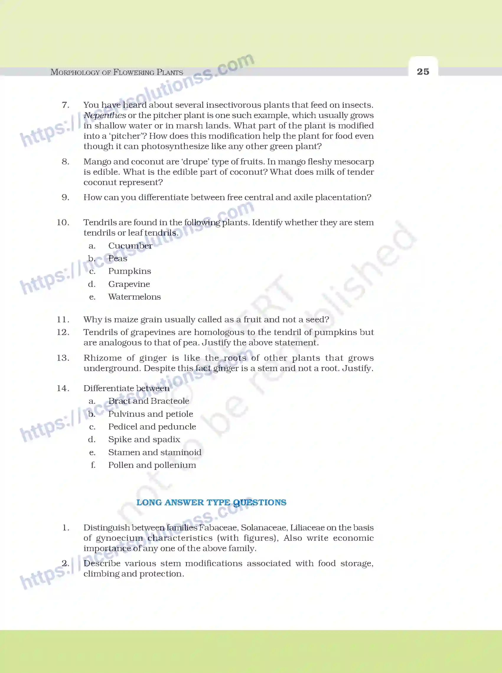 NCERT-Exemplar-Questions-Class-11-Biology--Morphology-Of-Flowering-Plants-92-page-5