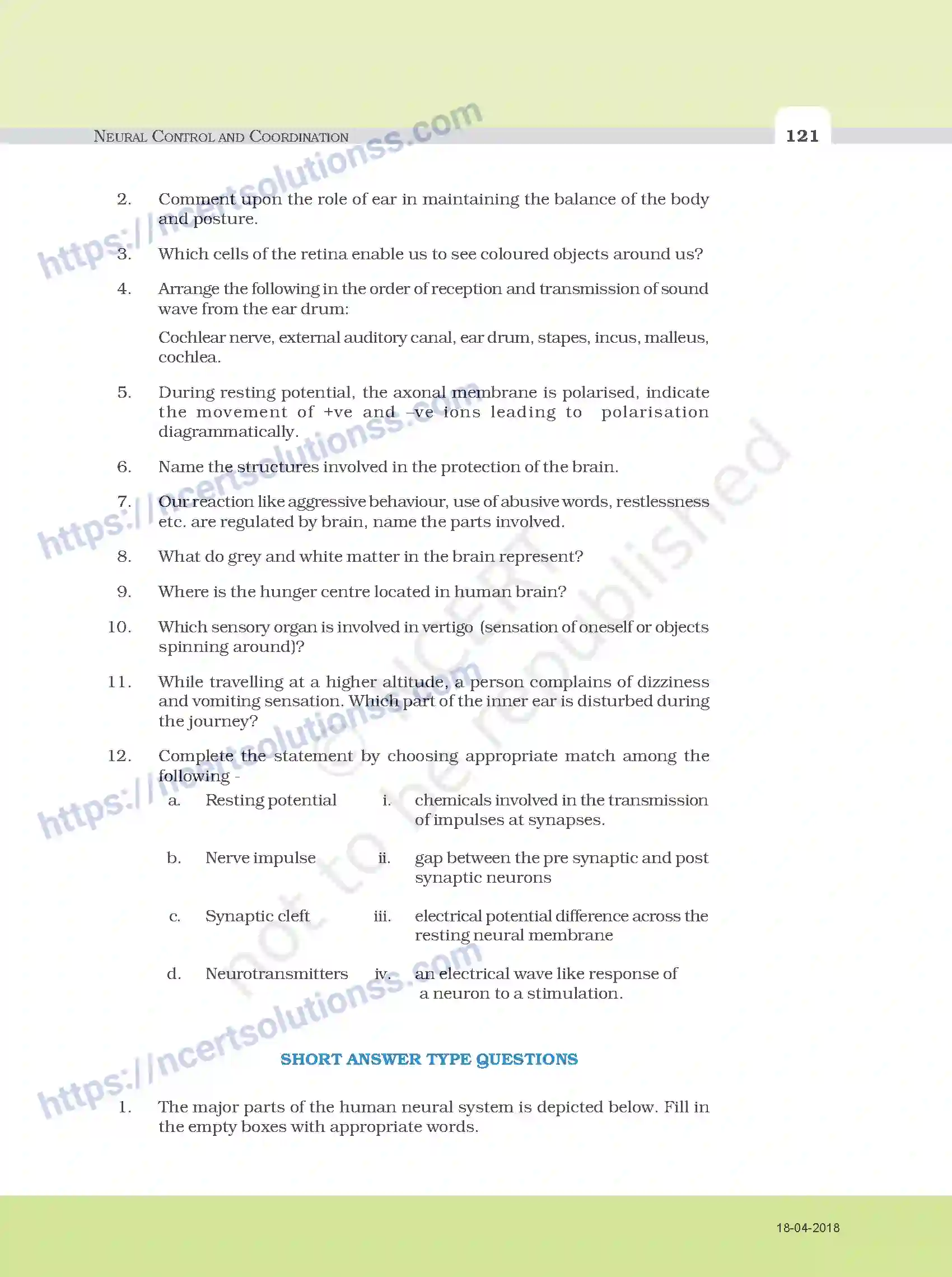 NCERT-Exemplar-Questions-Class-11-Biology--Neural-Control-and-Coordination-108-page-3
