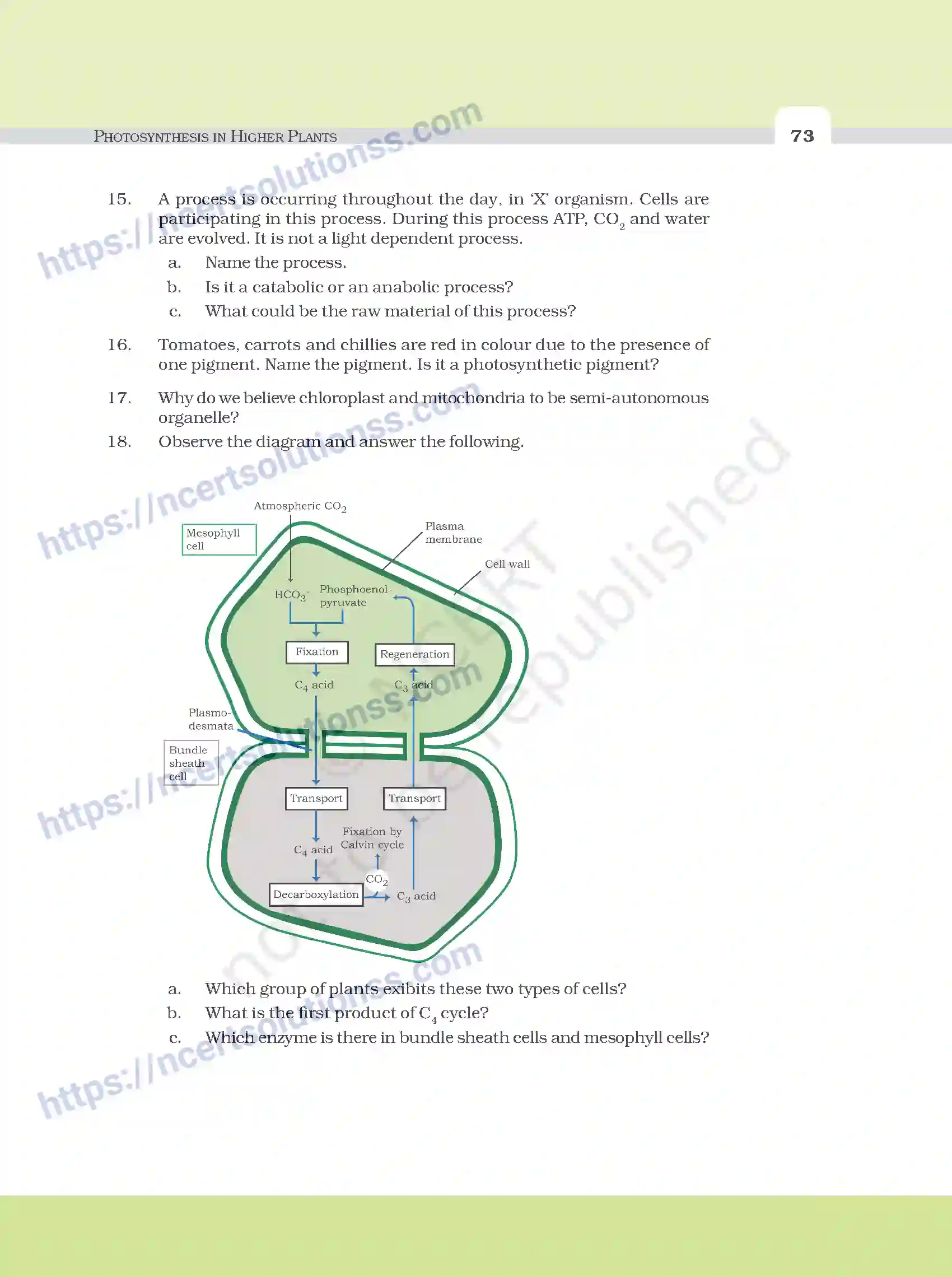 NCERT-Exemplar-Questions-Class-11-Biology--Photosynthesis-In-Higher-Plants-100-page-6