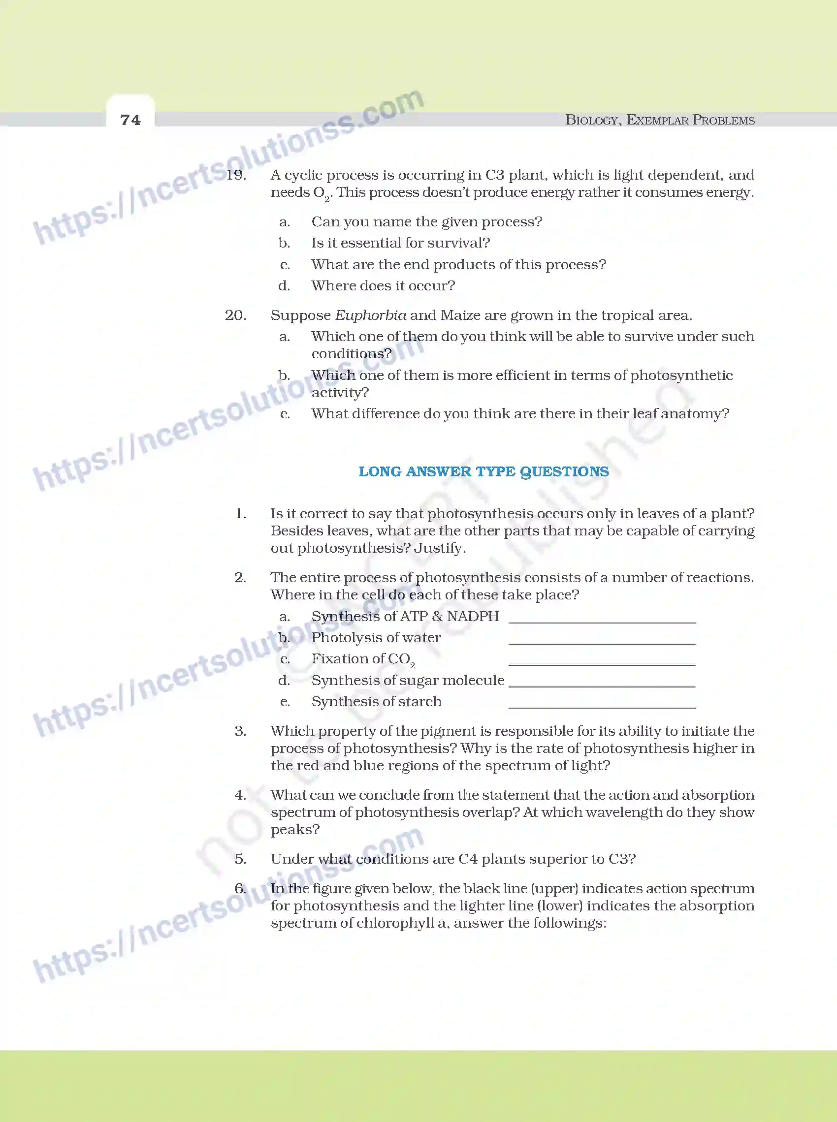 NCERT-Exemplar-Questions-Class-11-Biology--Photosynthesis-In-Higher-Plants-100-page-7