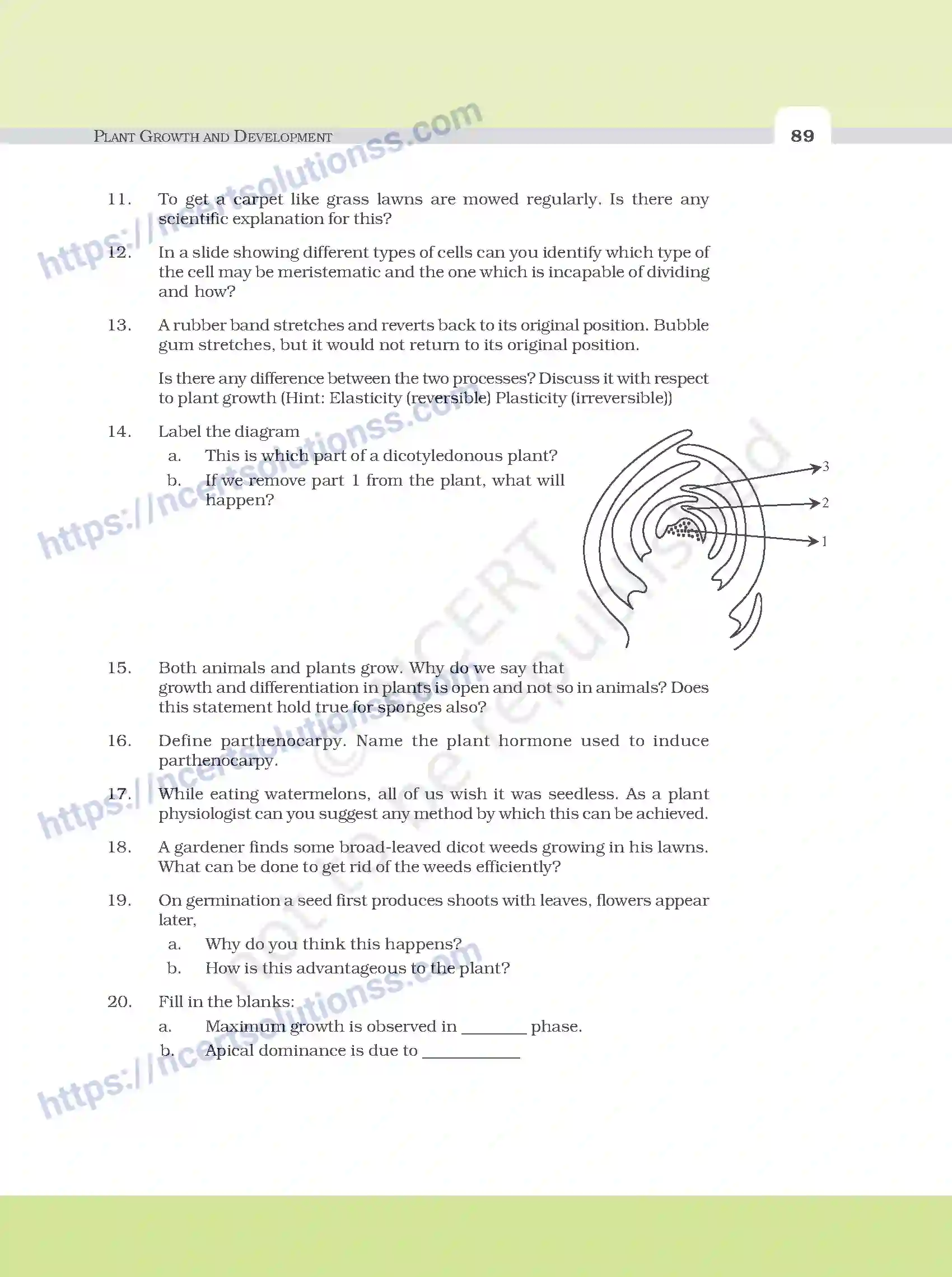 NCERT-Exemplar-Questions-Class-11-Biology--Plant-Growth-And-Development-102-page-6