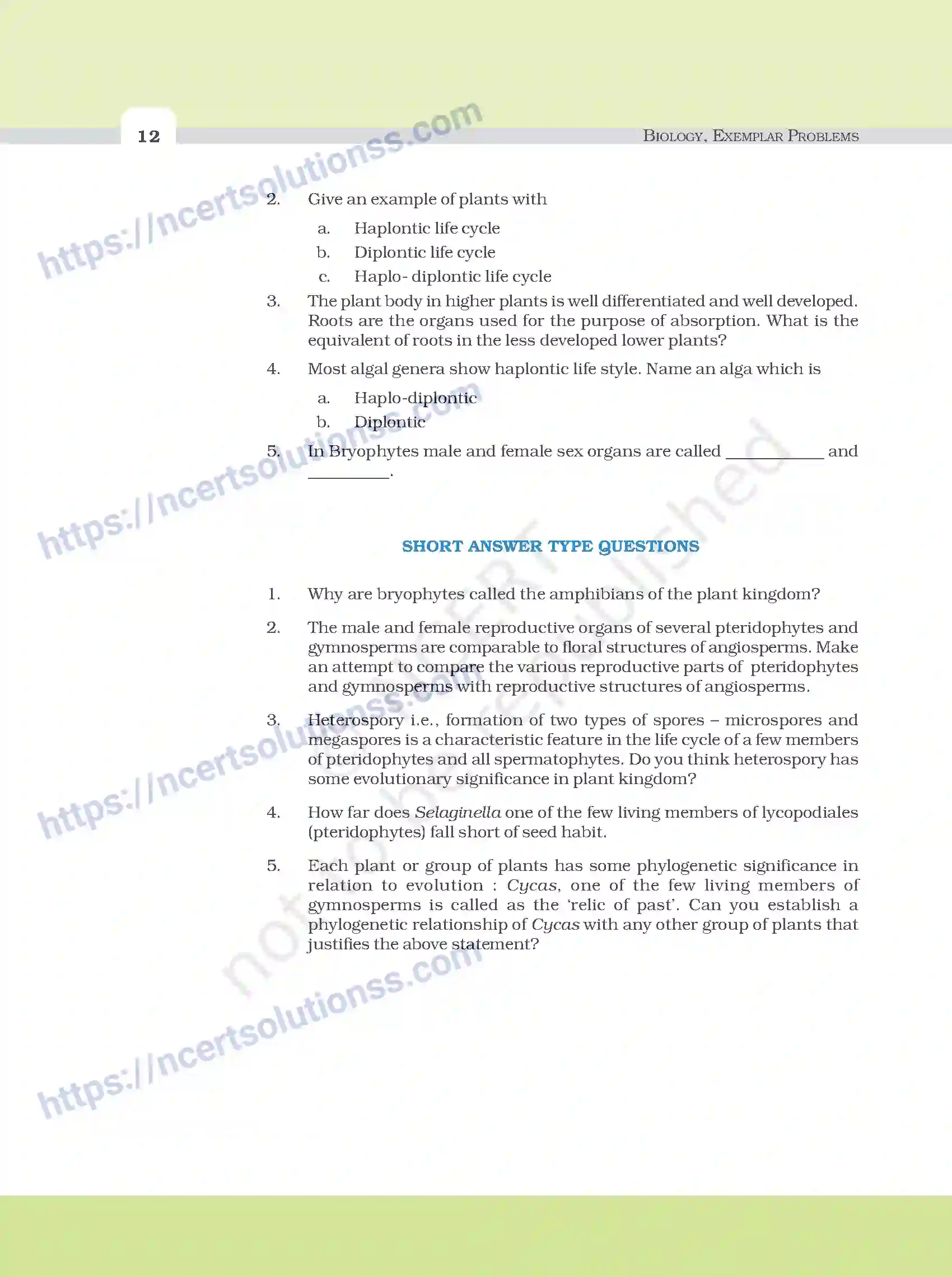 NCERT-Exemplar-Questions-Class-11-Biology--Plant-Kingdom-90-page-3