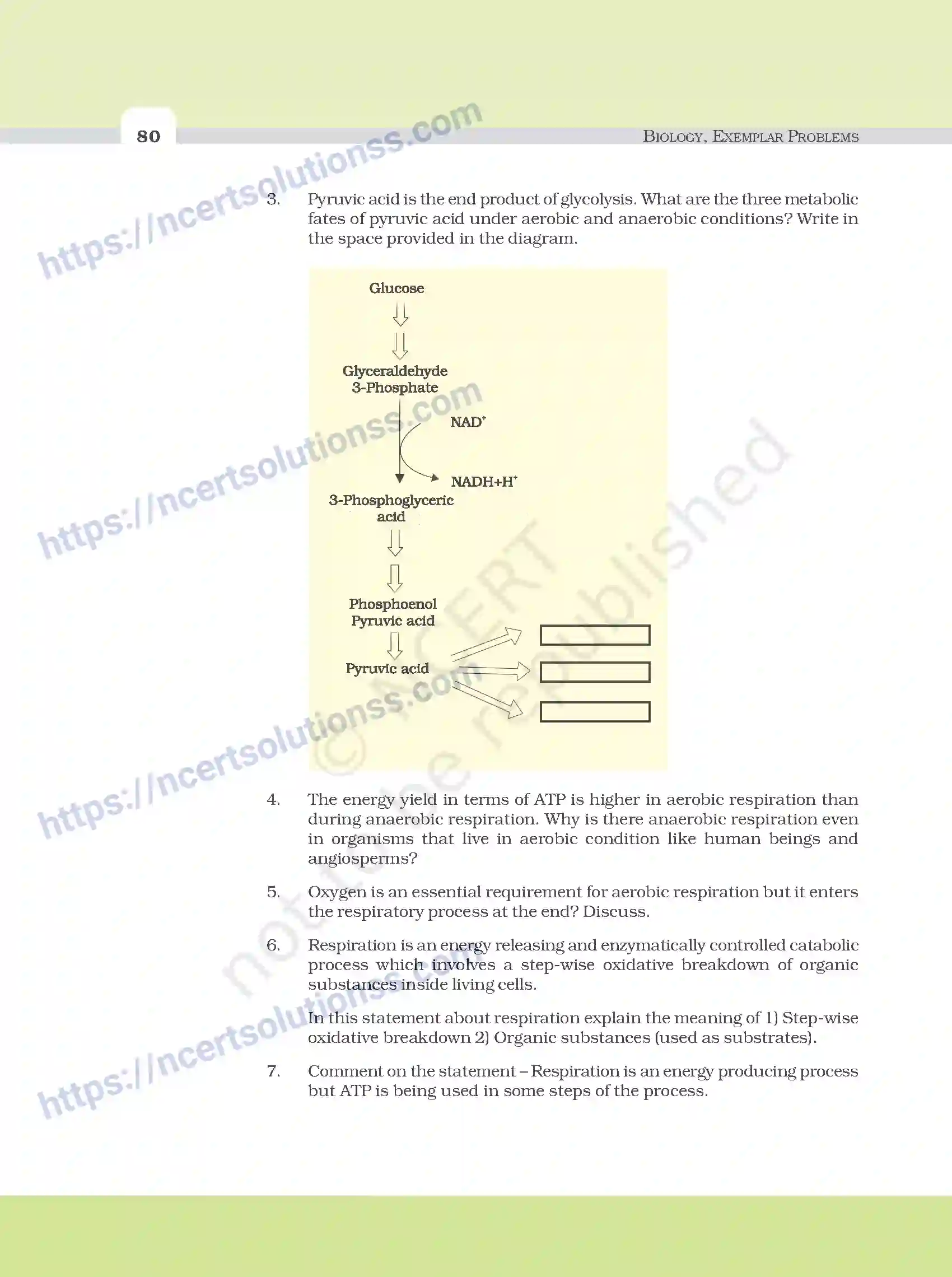 NCERT-Exemplar-Questions-Class-11-Biology--Respiration-In-Plants-101-page-4