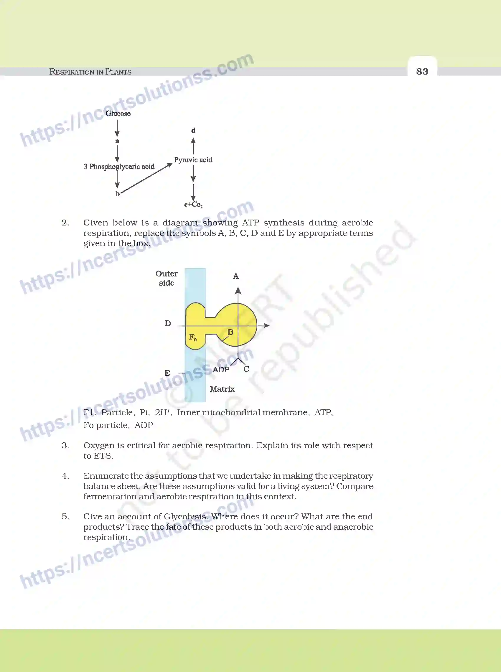 NCERT-Exemplar-Questions-Class-11-Biology--Respiration-In-Plants-101-page-7