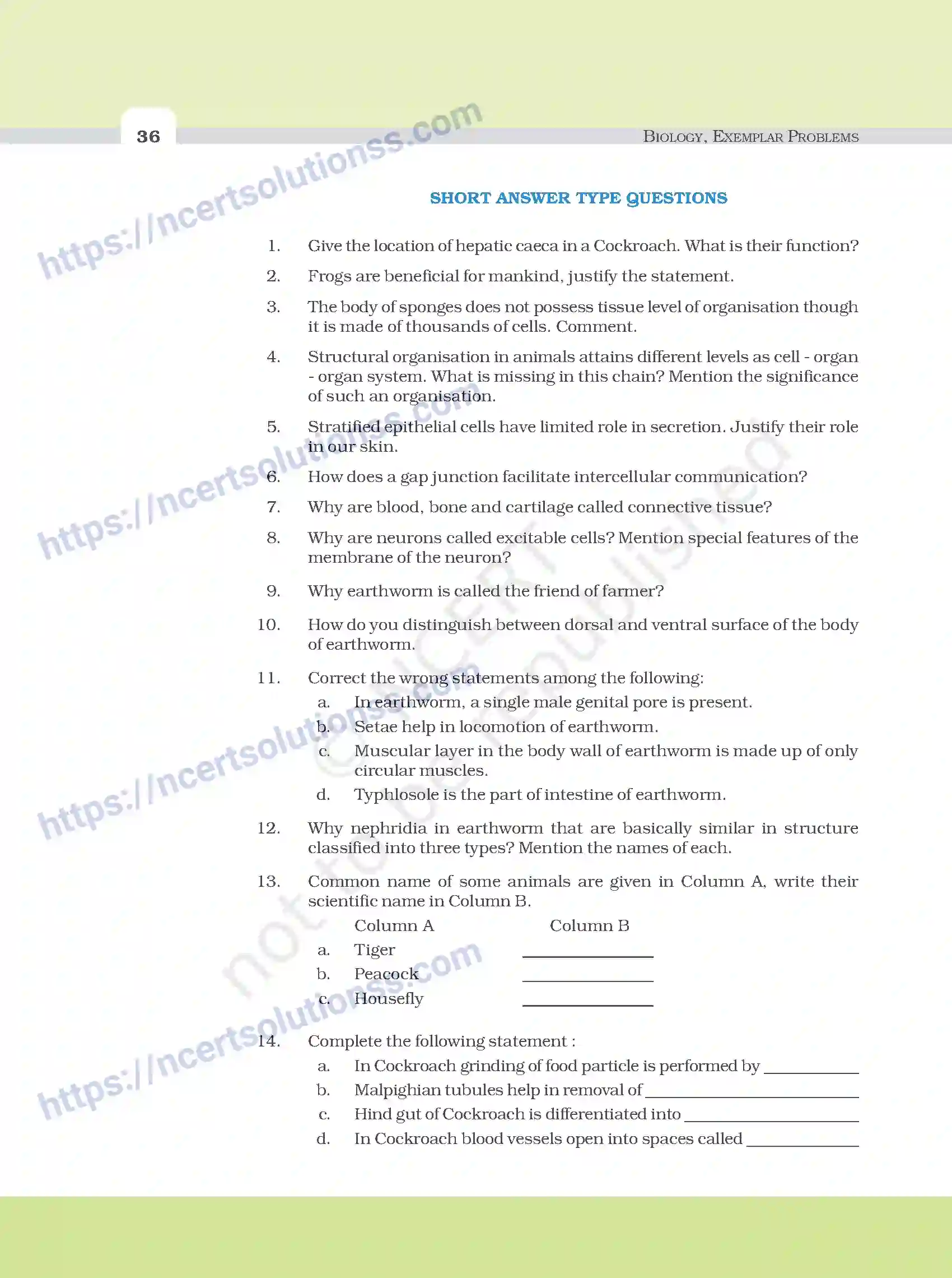 NCERT-Exemplar-Questions-Class-11-Biology--Structural-Organisation-In-Animals-94-page-4