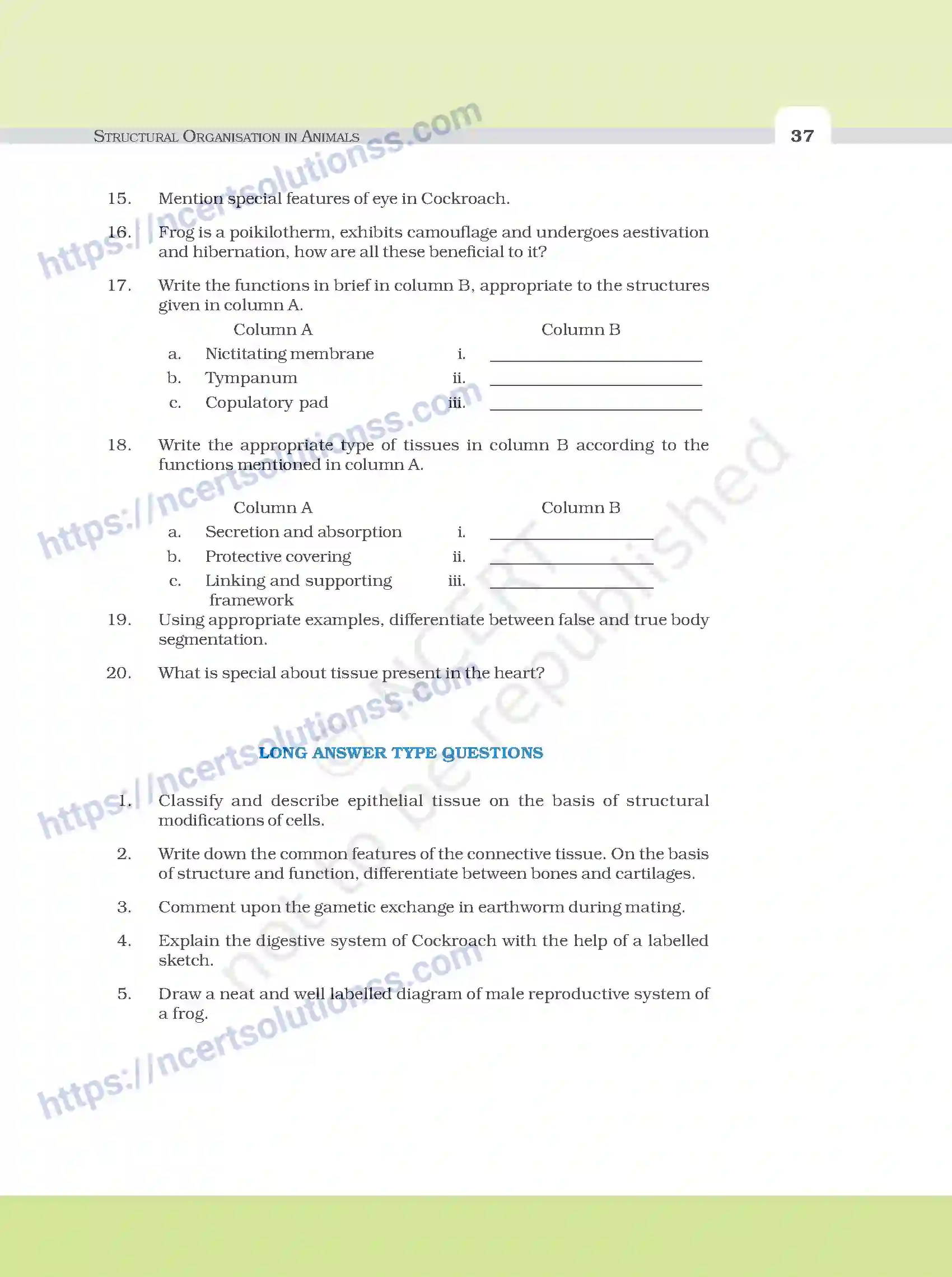 NCERT-Exemplar-Questions-Class-11-Biology--Structural-Organisation-In-Animals-94-page-5