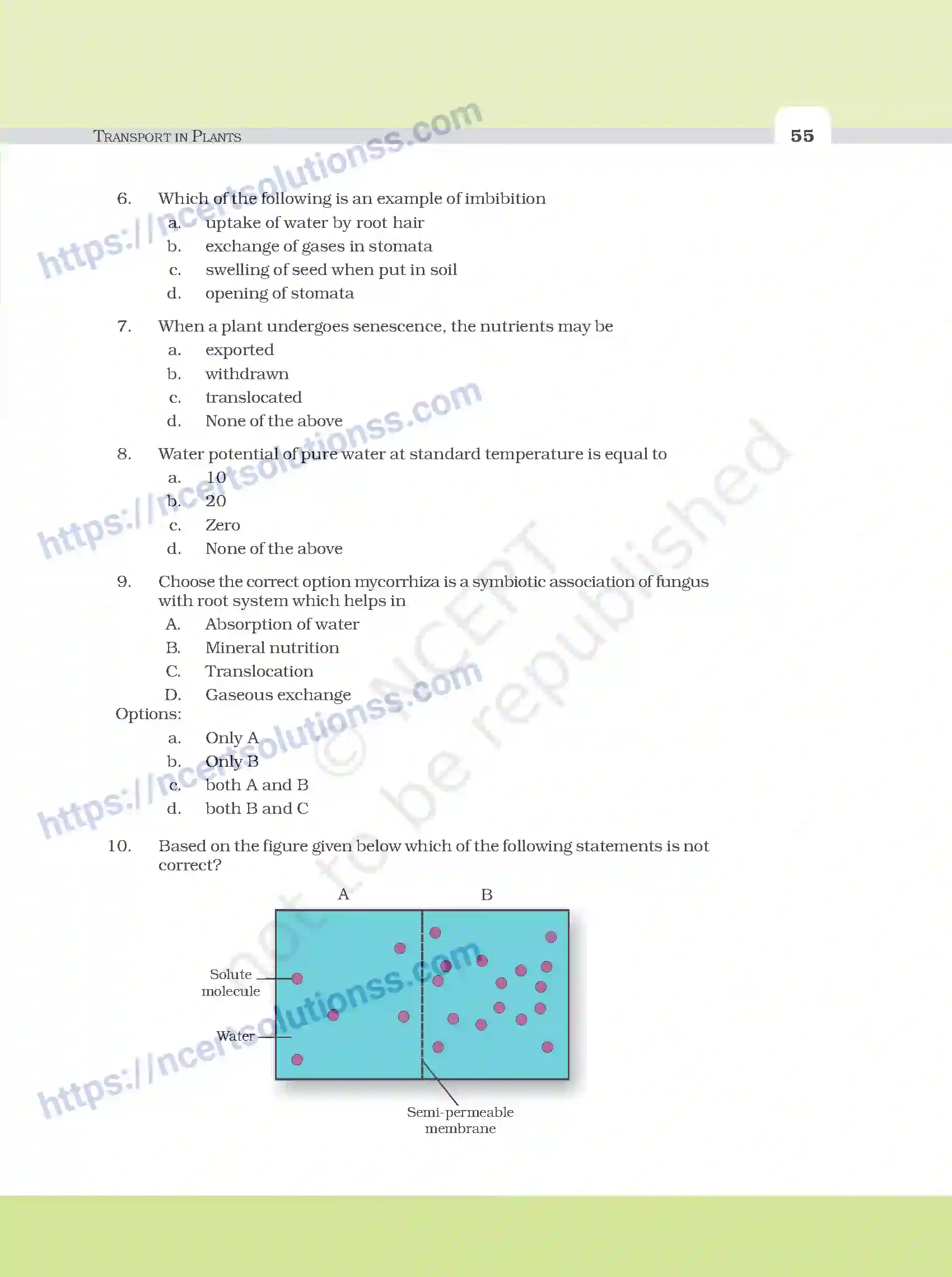NCERT-Exemplar-Questions-Class-11-Biology--Transport-In-Plants-98-page-2