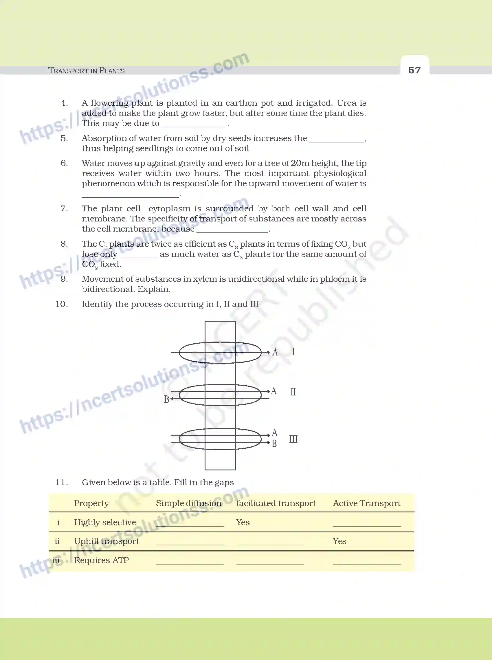 NCERT-Exemplar-Questions-Class-11-Biology--Transport-In-Plants-98-page-4