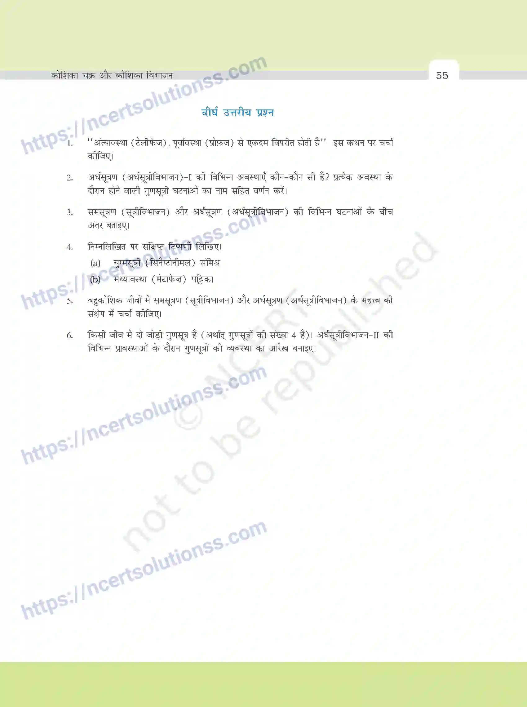 NCERT-Exemplar-Questions-Class-11-Biology--कोशिका-चक्र-ओर-कोशिका-विभाजन-381-page-6